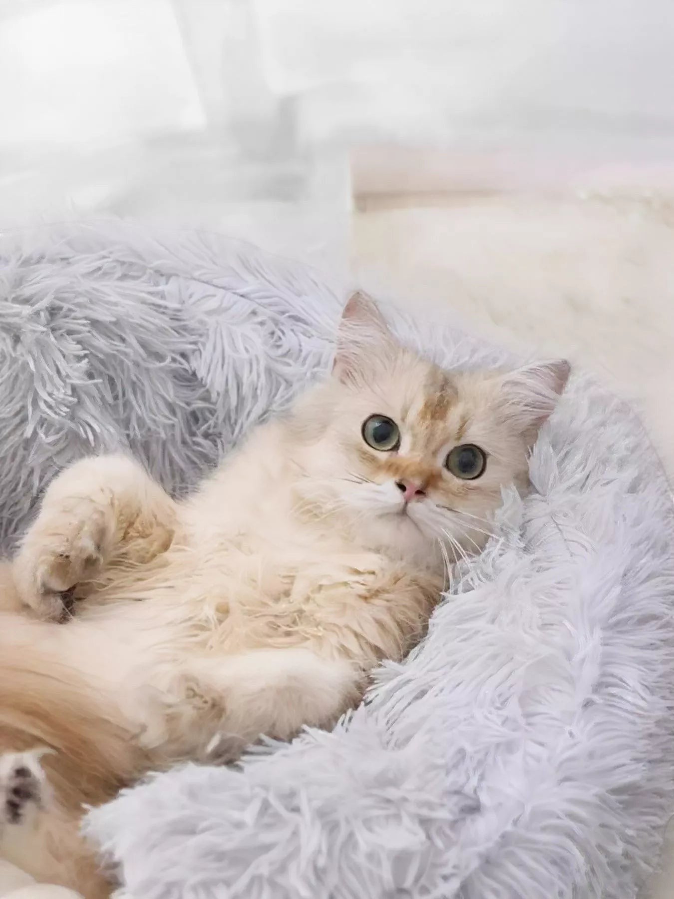 Little Pets Club Calming Cloud Nest™ plush pet bed in light grey, featuring a cream-colored cat relaxing.