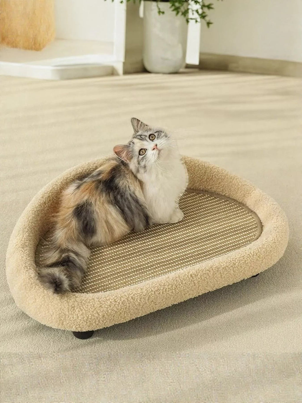 little pets club Modern woven cat lounge bed with sisal scratcher and plush rim, tan color.