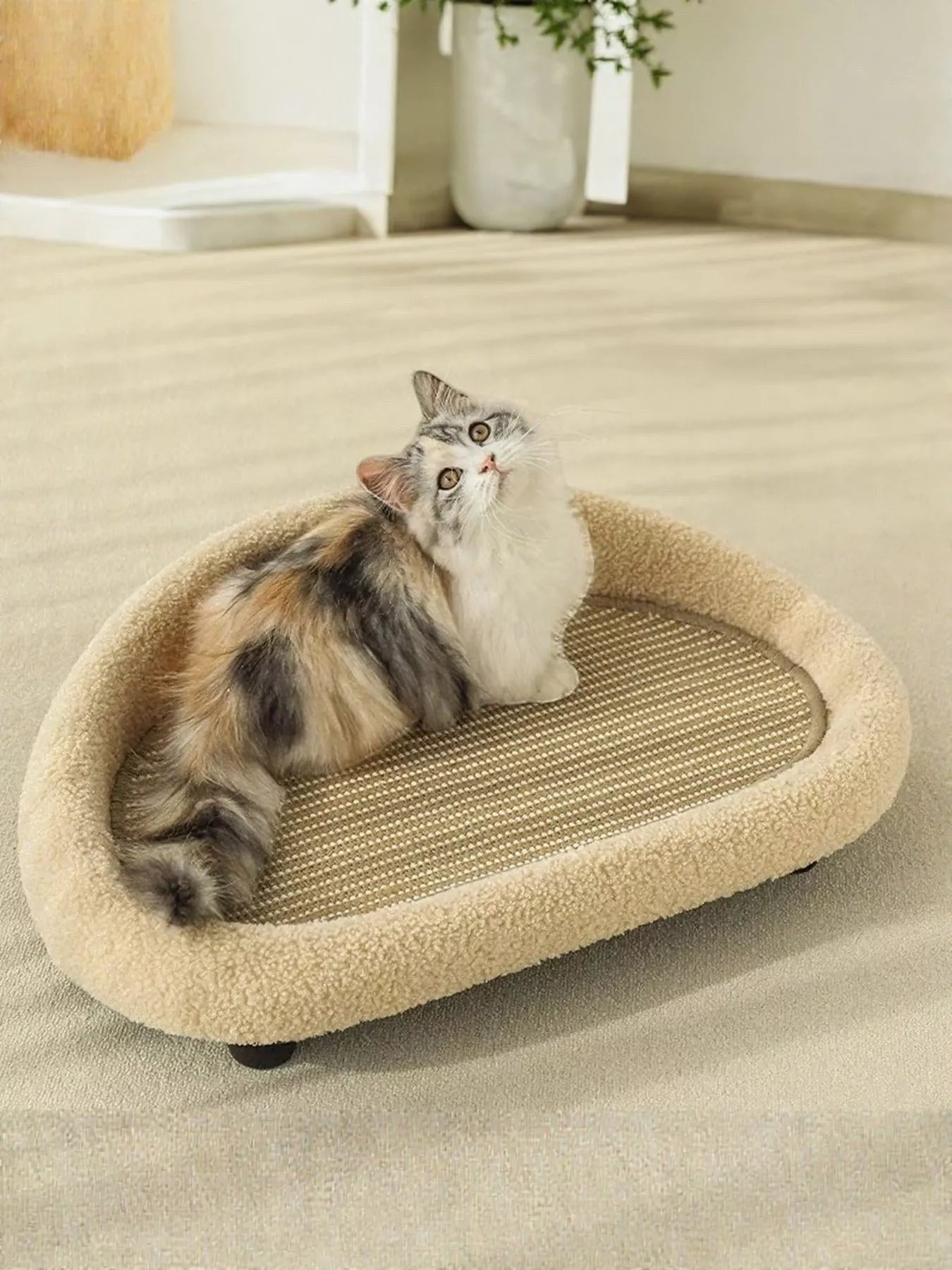 little pets club Modern woven cat lounge bed with sisal scratcher and plush rim, tan color.