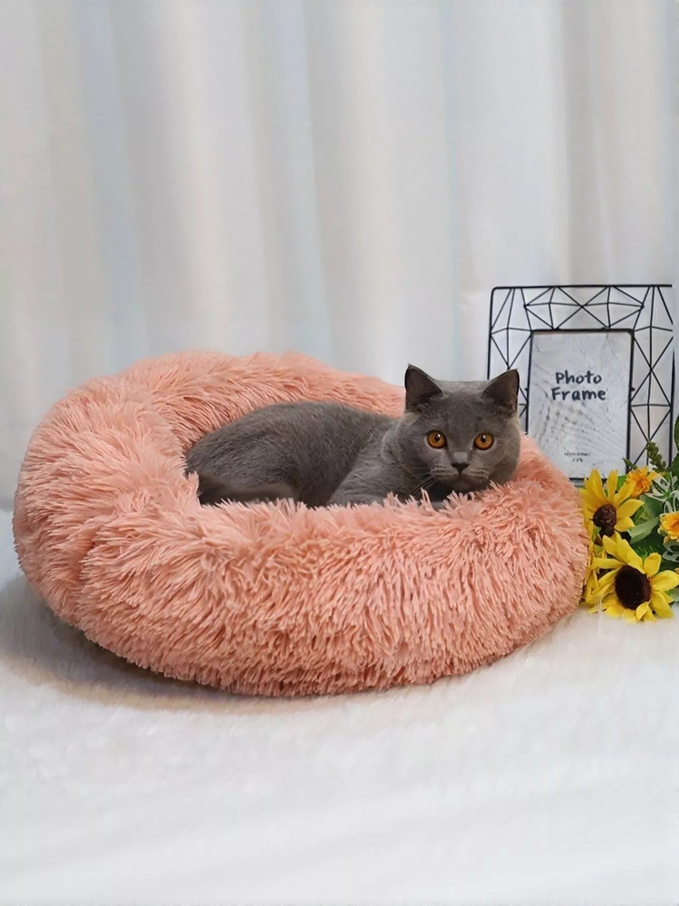 Little Pets Club plush donut pet bed in coral pink, featuring a grey cat resting comfortably. Supports pets up to 55 lbs.