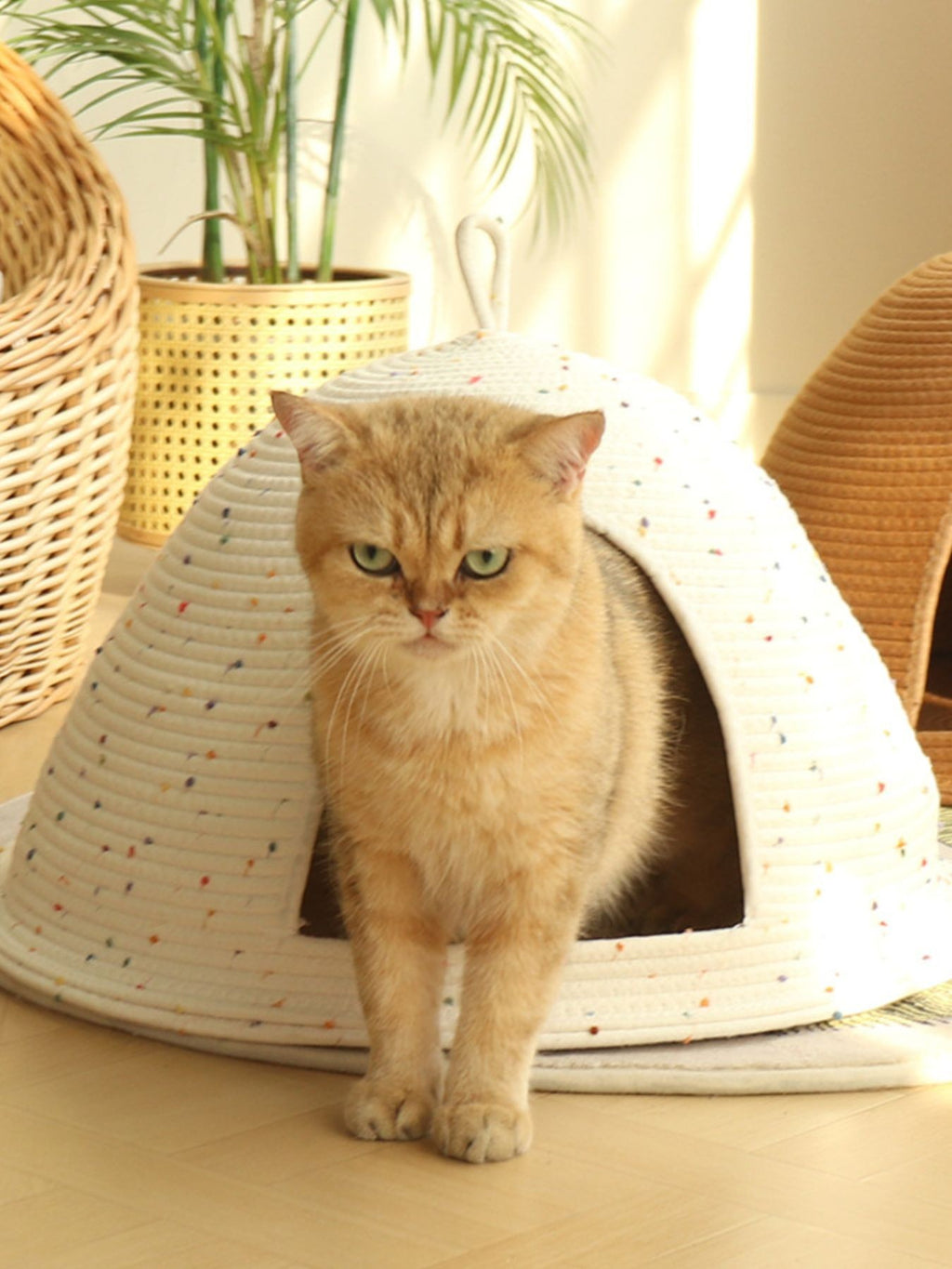 Little Pets Club Cozy Hideaway Cave pet bed in cream woven rope with colorful speckles, featuring a semi-enclosed design and a handle. A golden cat sits inside.