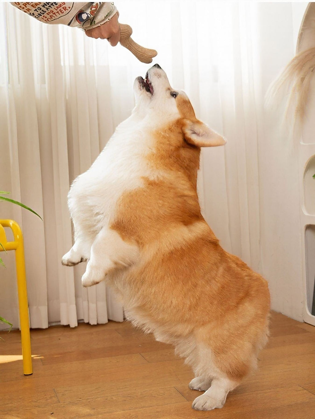 Little Pets Club durable brown antler-shaped dog chew toy held by a person, with a corgi dog jumping to catch it.