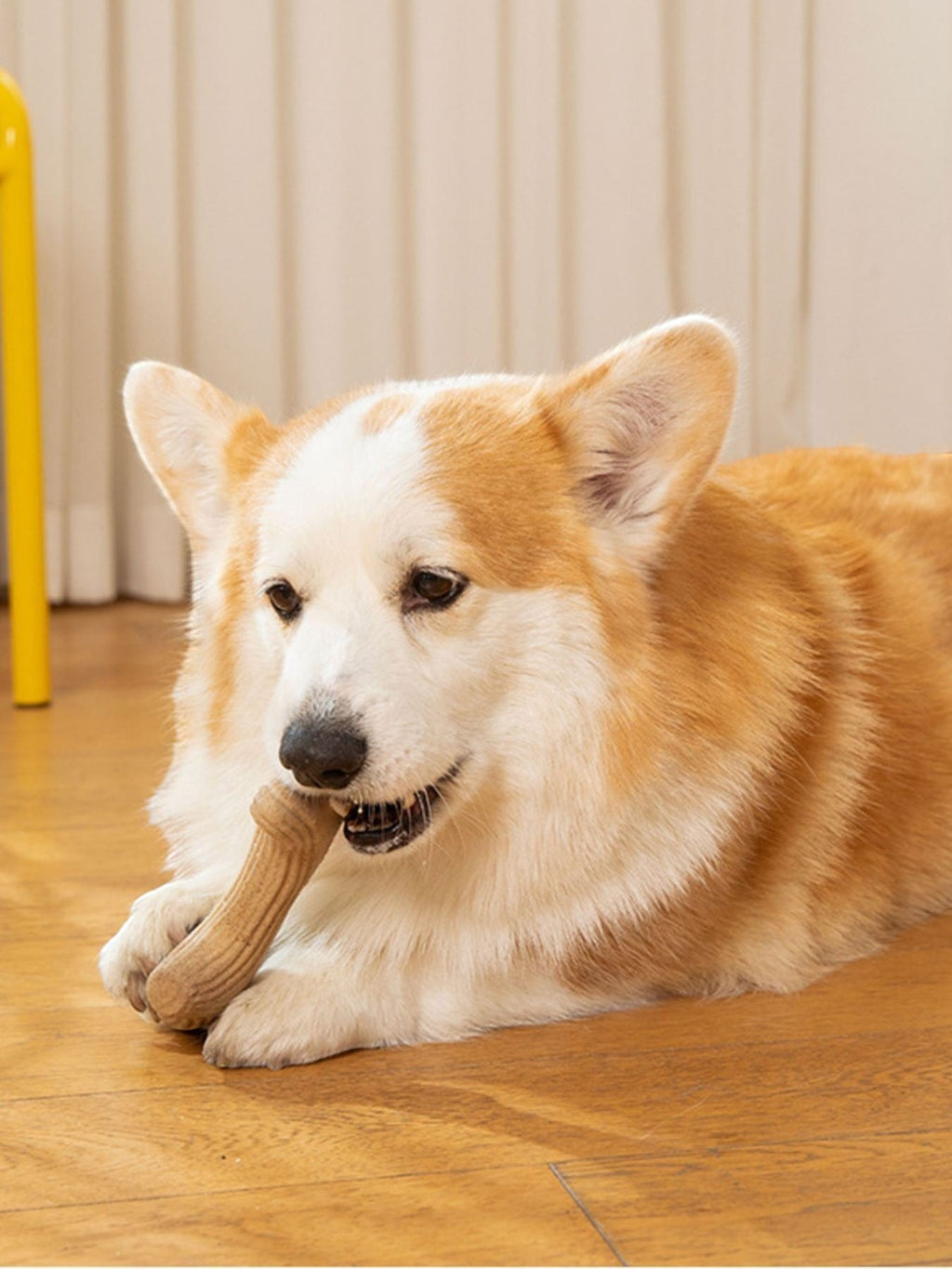 Little Pets Club corgi dog chewing a light brown textured bone-shaped dog toy on a wooden floor.