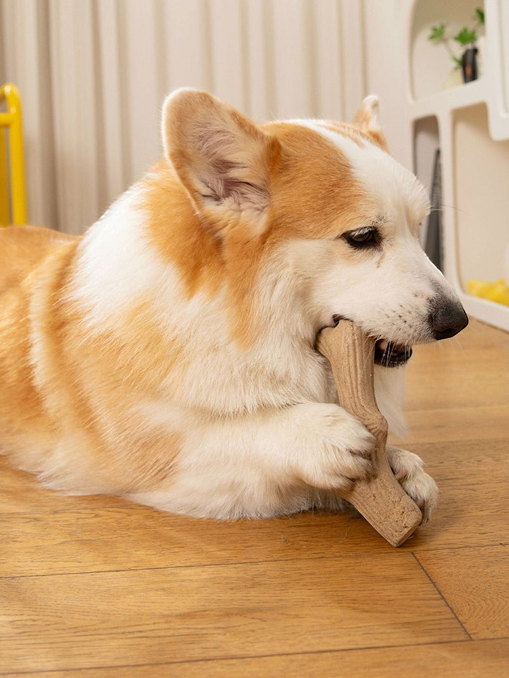 Little Pets Club tan bone-shaped durable dog chew toy, made from tough material for aggressive chewers.