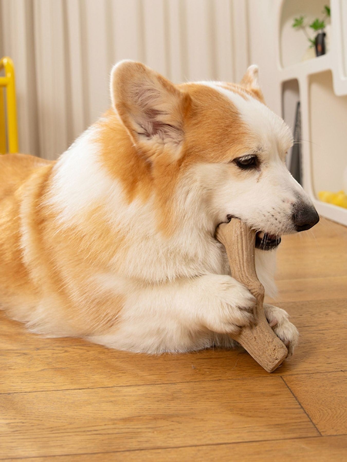 Little Pets Club tan bone-shaped durable dog chew toy, made from tough material for aggressive chewers.