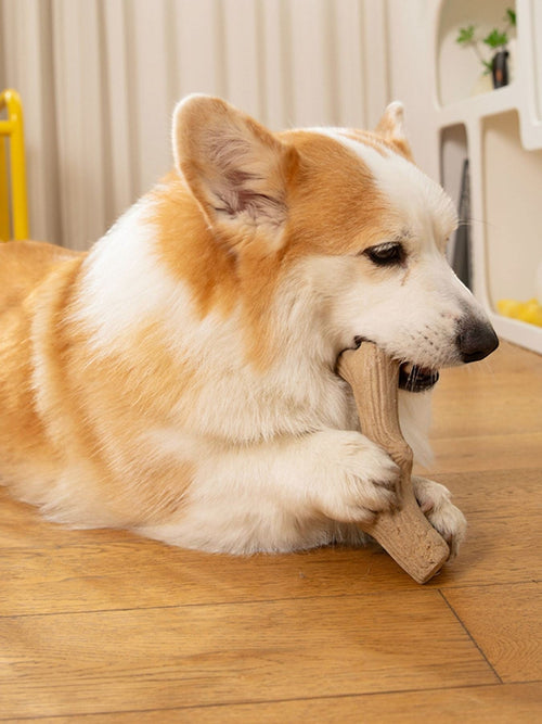 Little Pets Club tan bone-shaped durable dog chew toy, made from tough material for aggressive chewers.