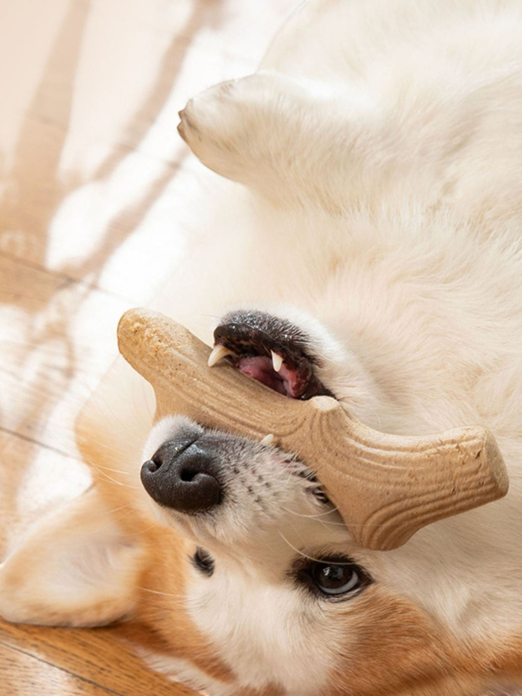 Little Pets Club durable dog chew toy, made from tough material, in a unique bone shape.