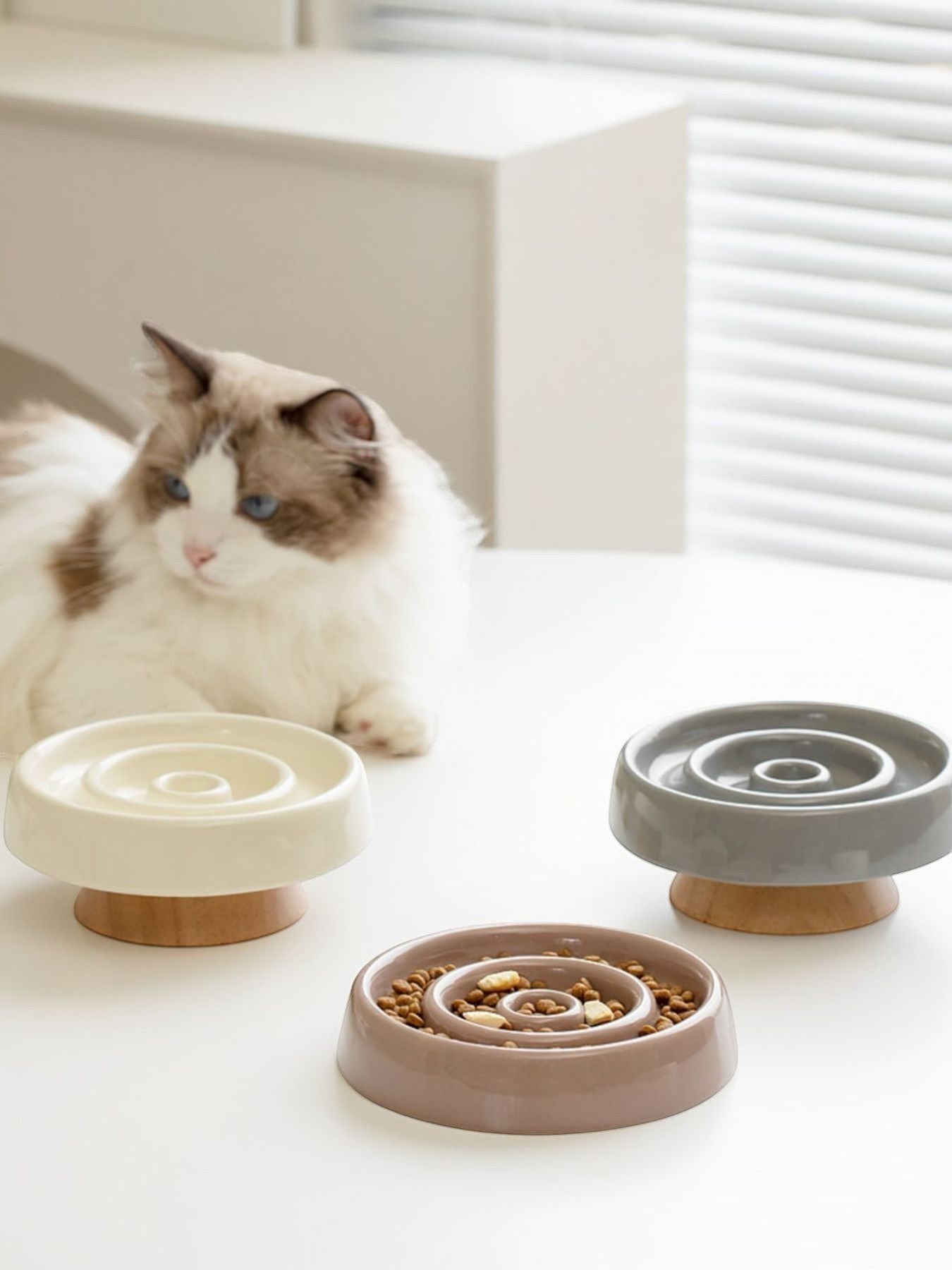 Little Pets Club elevated ceramic slow feeder bowl in taupe with spiral pattern, on a wooden base. A Ragdoll cat is in the background.