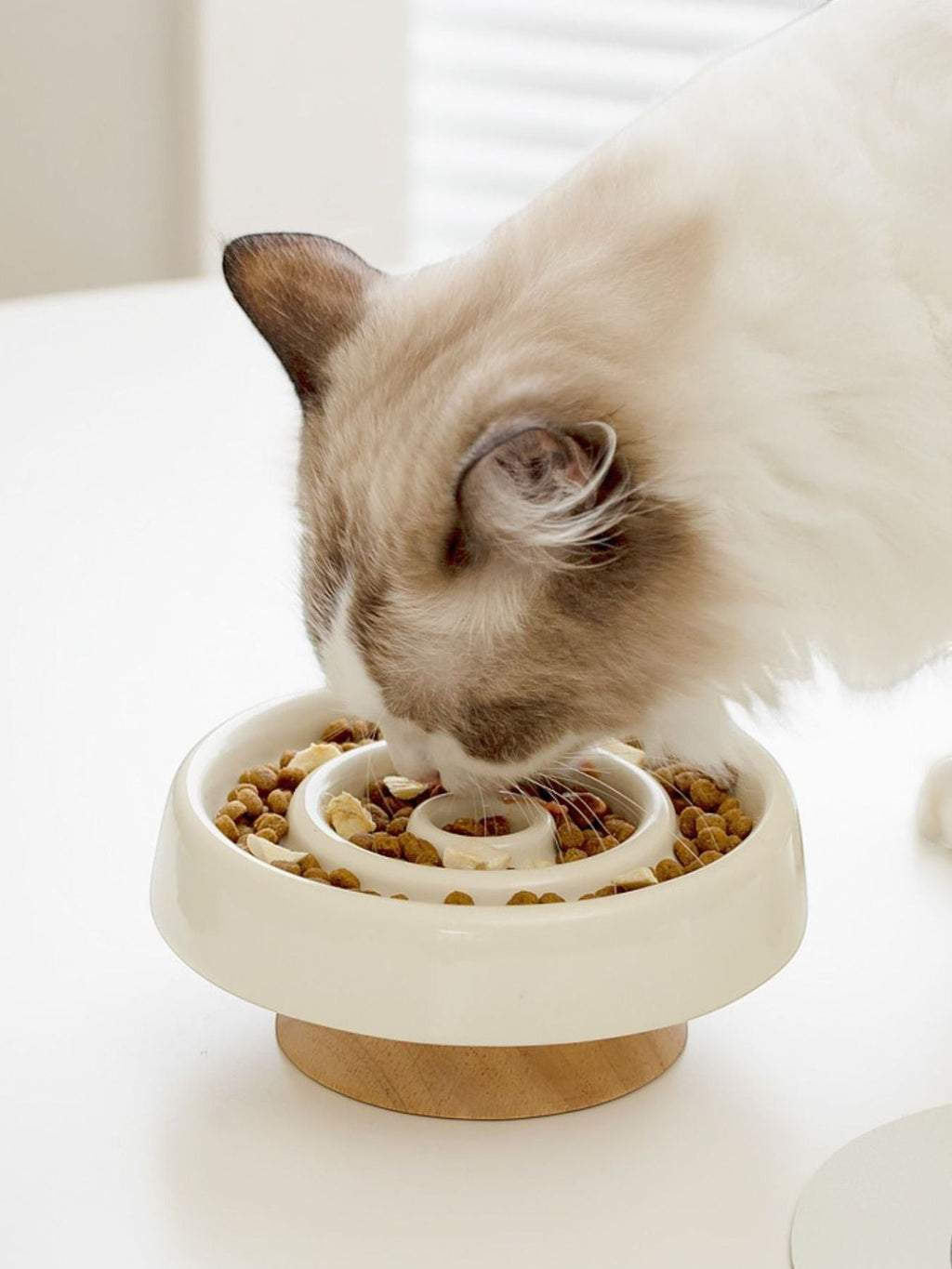 Little Pets Club white ceramic elevated slow feeder bowl with wooden base, filled with kibble, used by a cat.