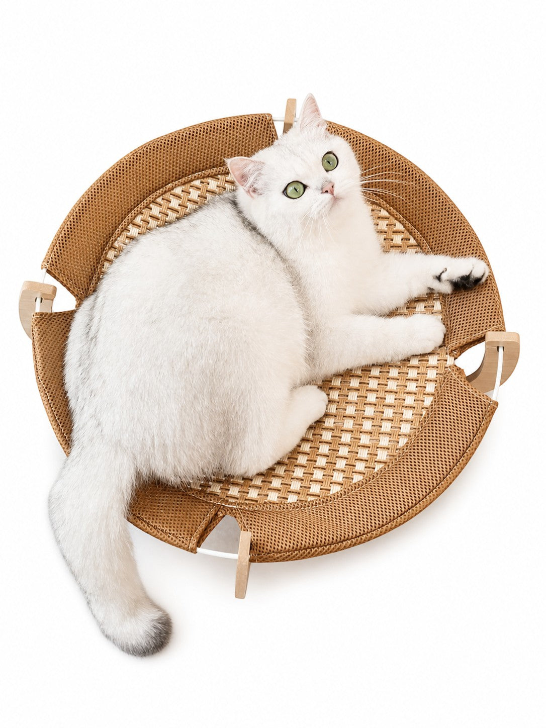 Little Pets Club Elevated Woven Lounge bed with a white cat with green eyes lounging on the natural woven surface and wooden frame.