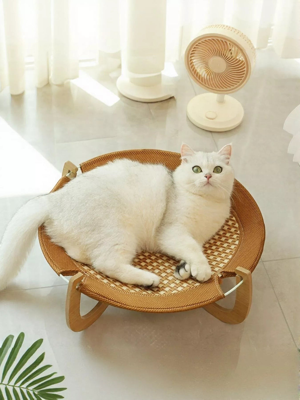Little Pets Club Elevated Woven Lounge pet bed with a white cat lounging on the natural woven surface and wooden frame.