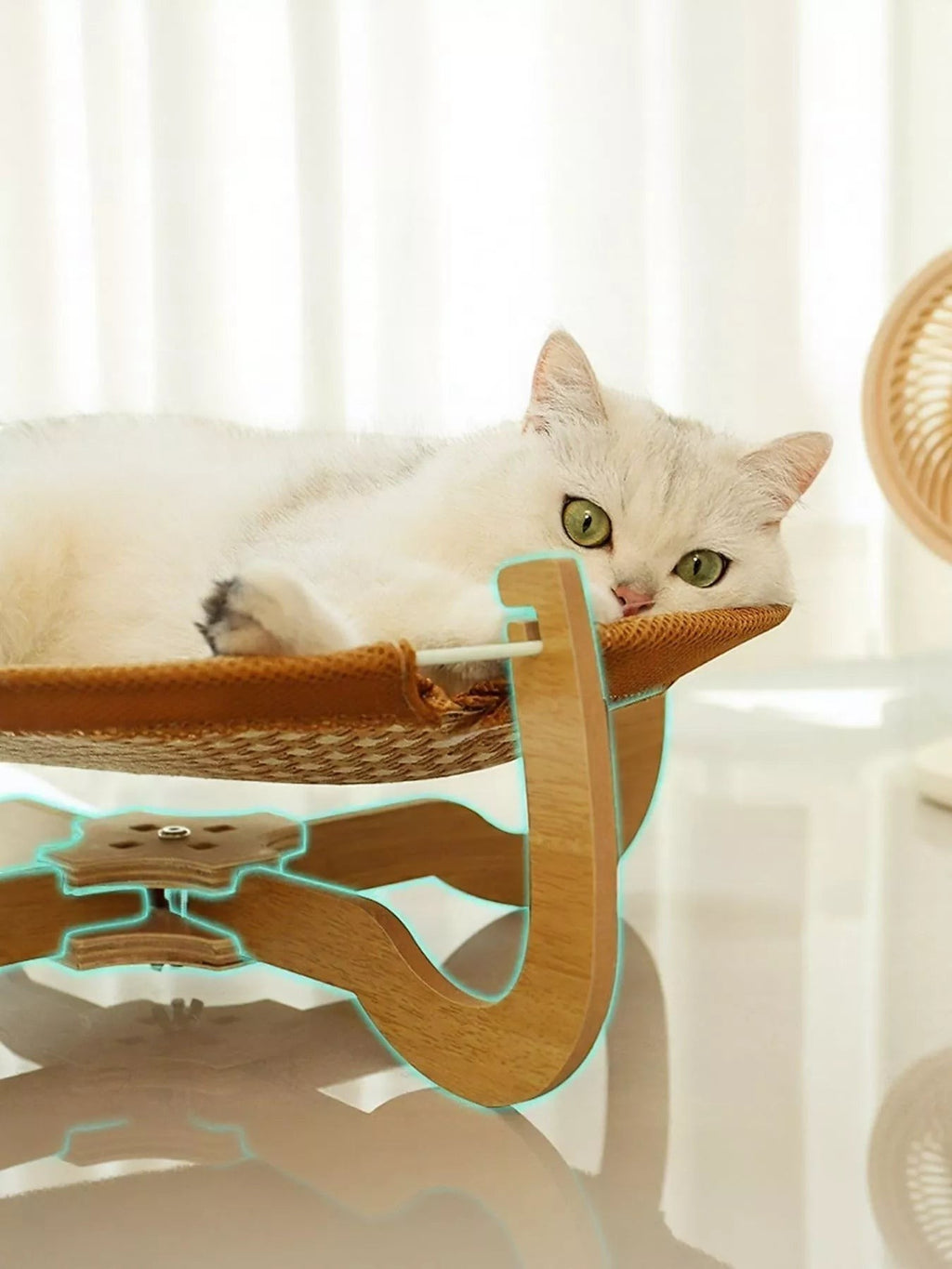 White cat lounging on a woven elevated pet bed with a natural wood frame from little pets club.