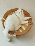 White cat with green eyes lounging on a round, elevated pet bed with a woven brown surface and a light wood frame. Little Pets Club.