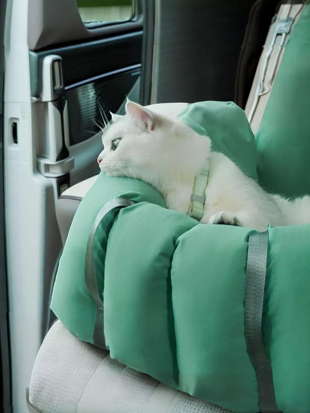 Little Pets Club green convertible pet carrier and car seat with a white cat inside looking out the window.