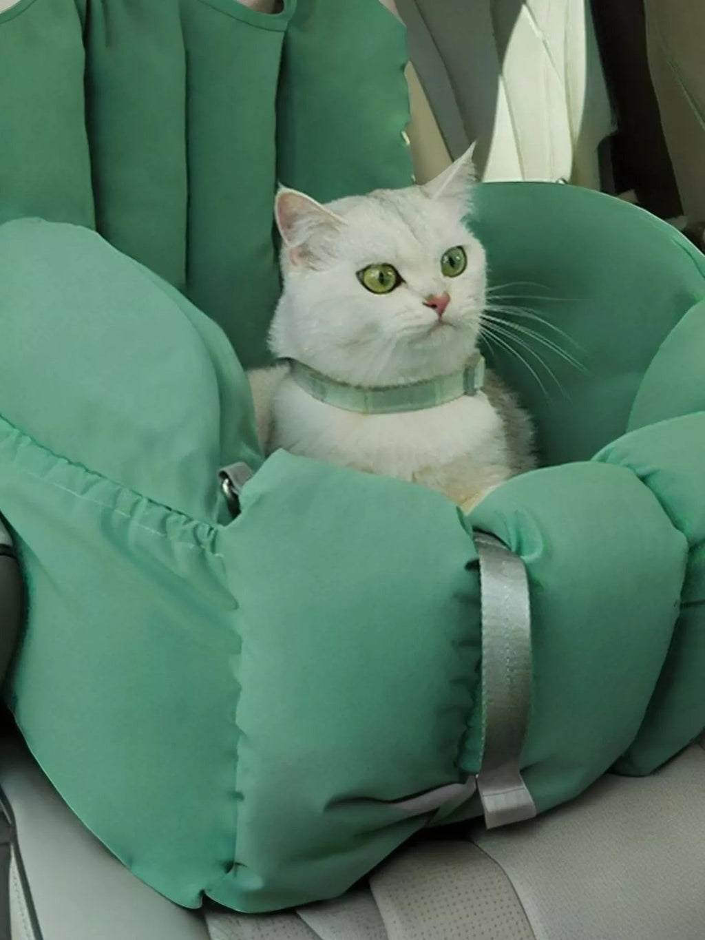 Little Pets Club green convertible pet travel tote and car seat carrier with a white cat wearing a matching collar.