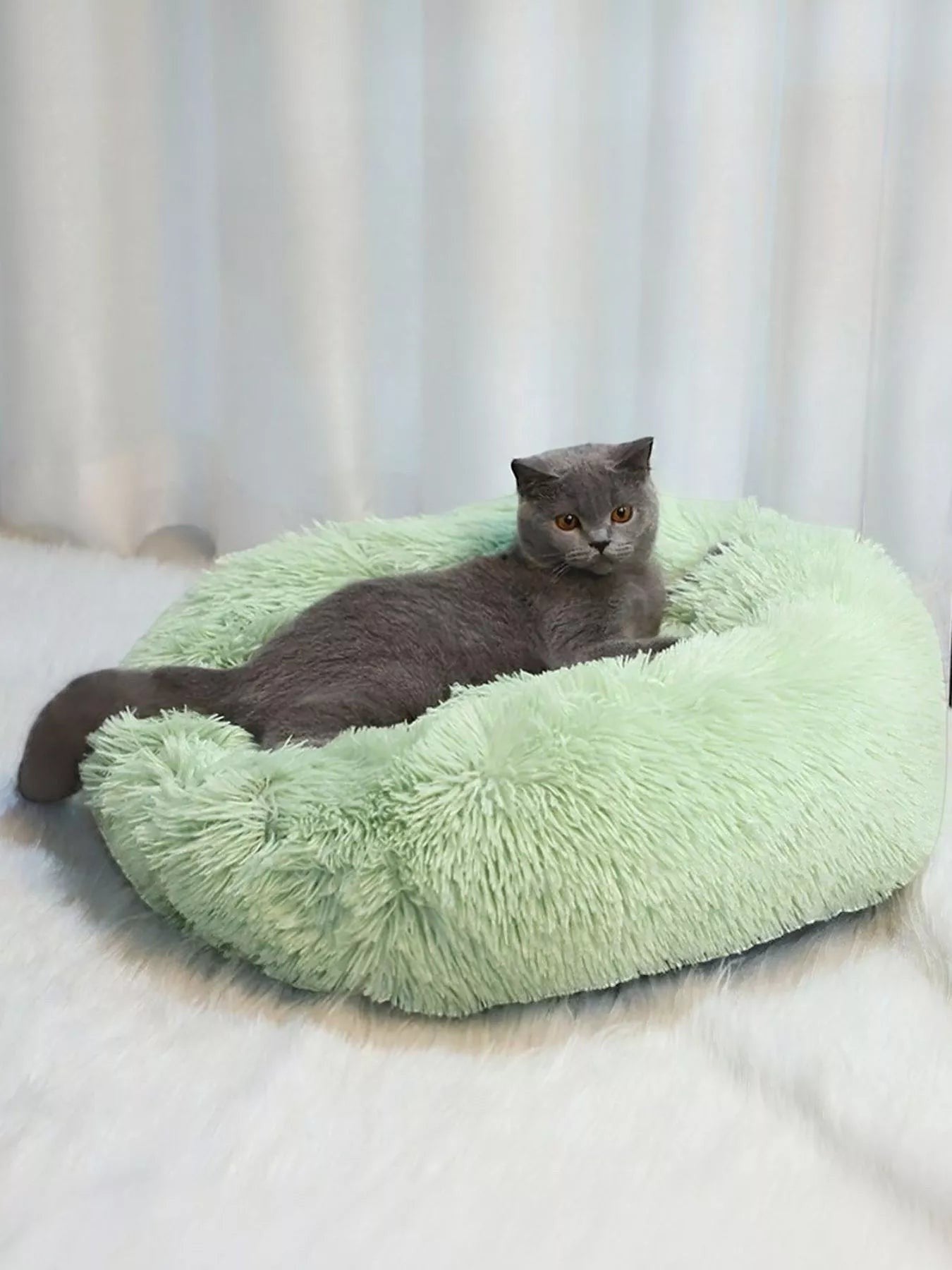 Little Pets Club light green plush donut pet bed with a grey cat resting inside, featuring raised edges for comfort and support.