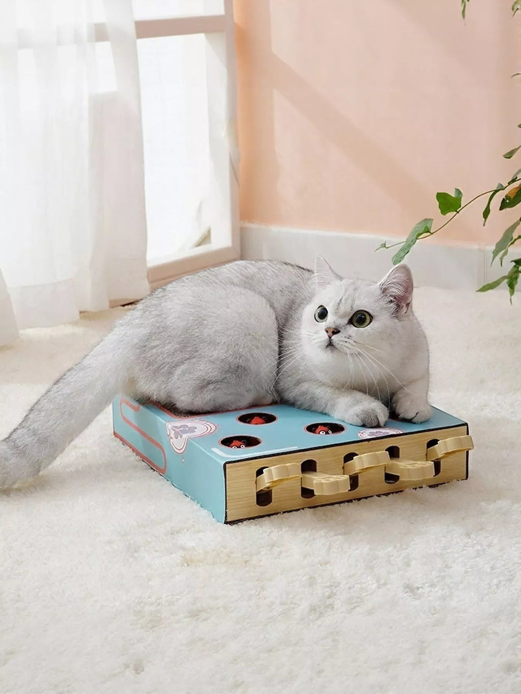 Little Pets Club interactive cat scratching and play box, light blue with red accents, featuring a whack-a-mole game.