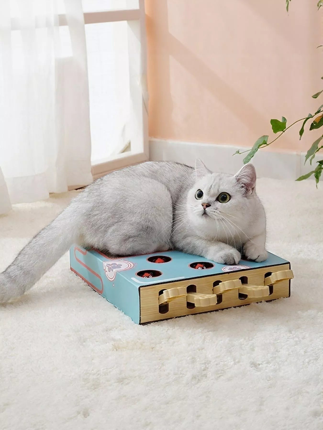 Little Pets Club interactive cat scratching and play box, light blue with red accents, featuring a whack-a-mole game.