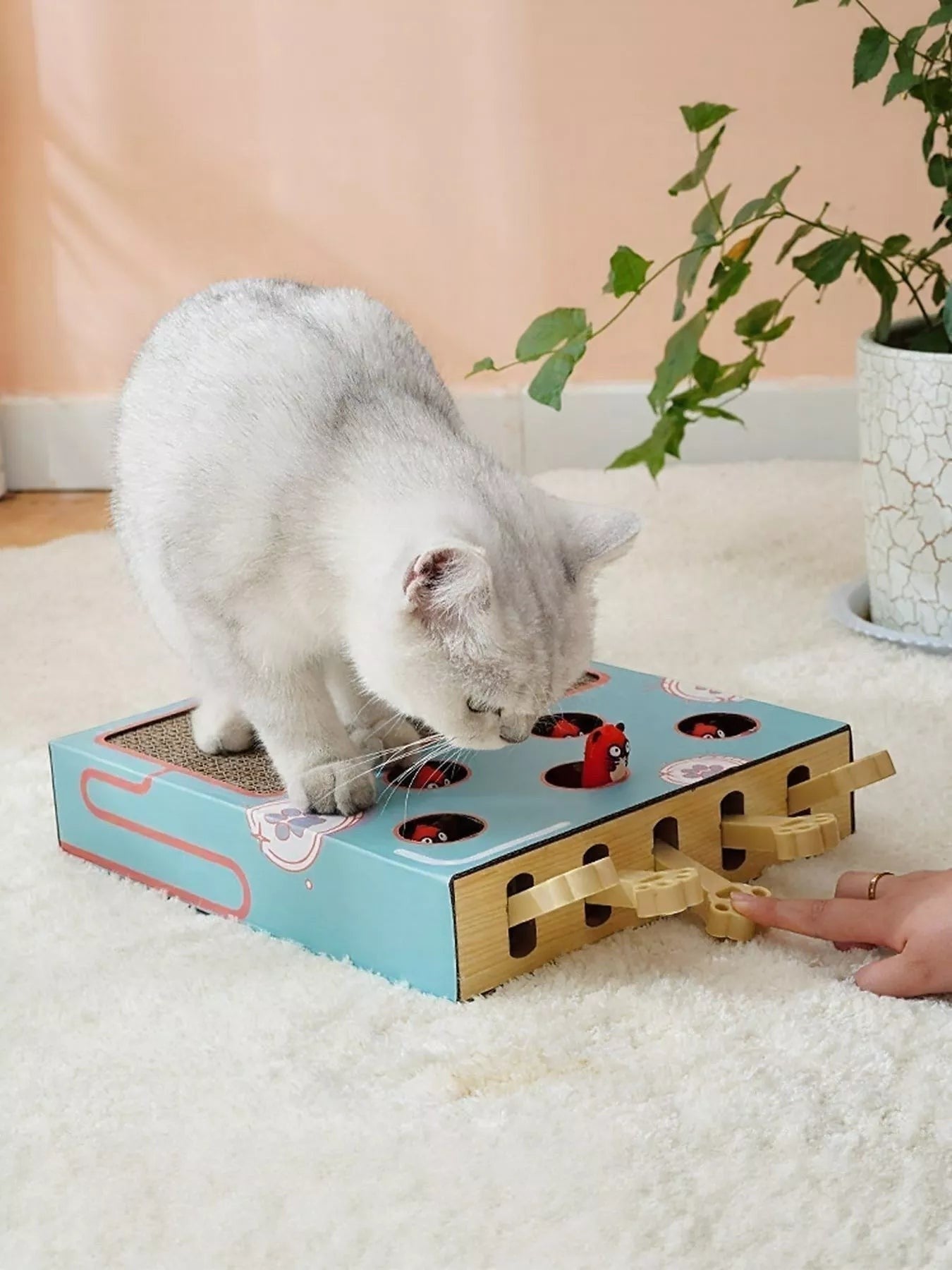 Little Pets Club interactive cat scratching box with whack-a-mole game. Blue box with holes and red figures, corrugated cardboard scratch surface.