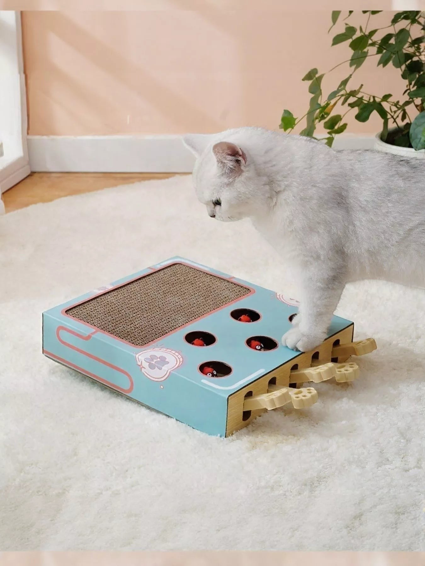 Little Pets Club interactive cat scratching box with whack-a-mole game, blue cardboard with paw print design.