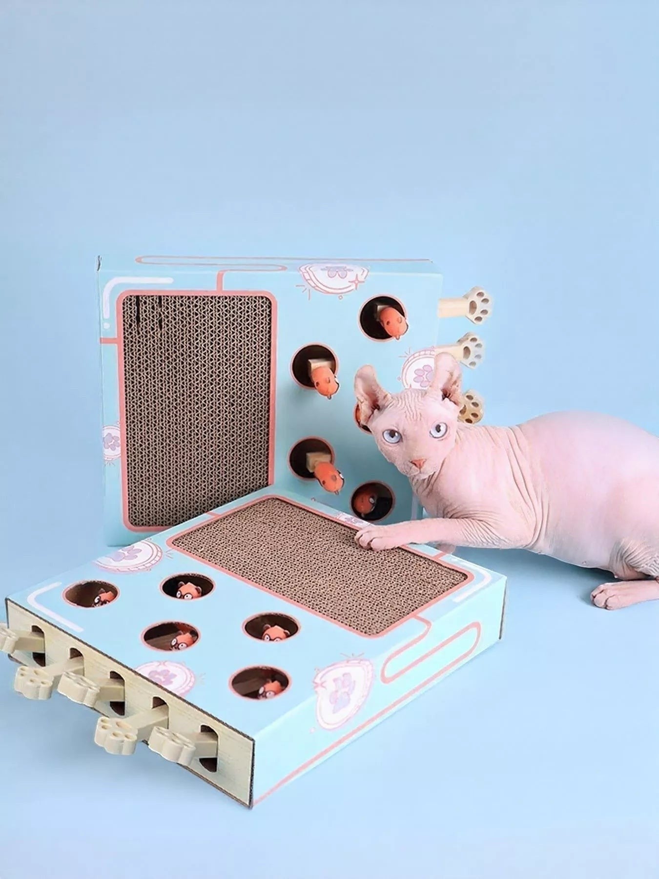 Little Pets Club interactive cat scratching box with hidden balls and a Sphynx cat playing.