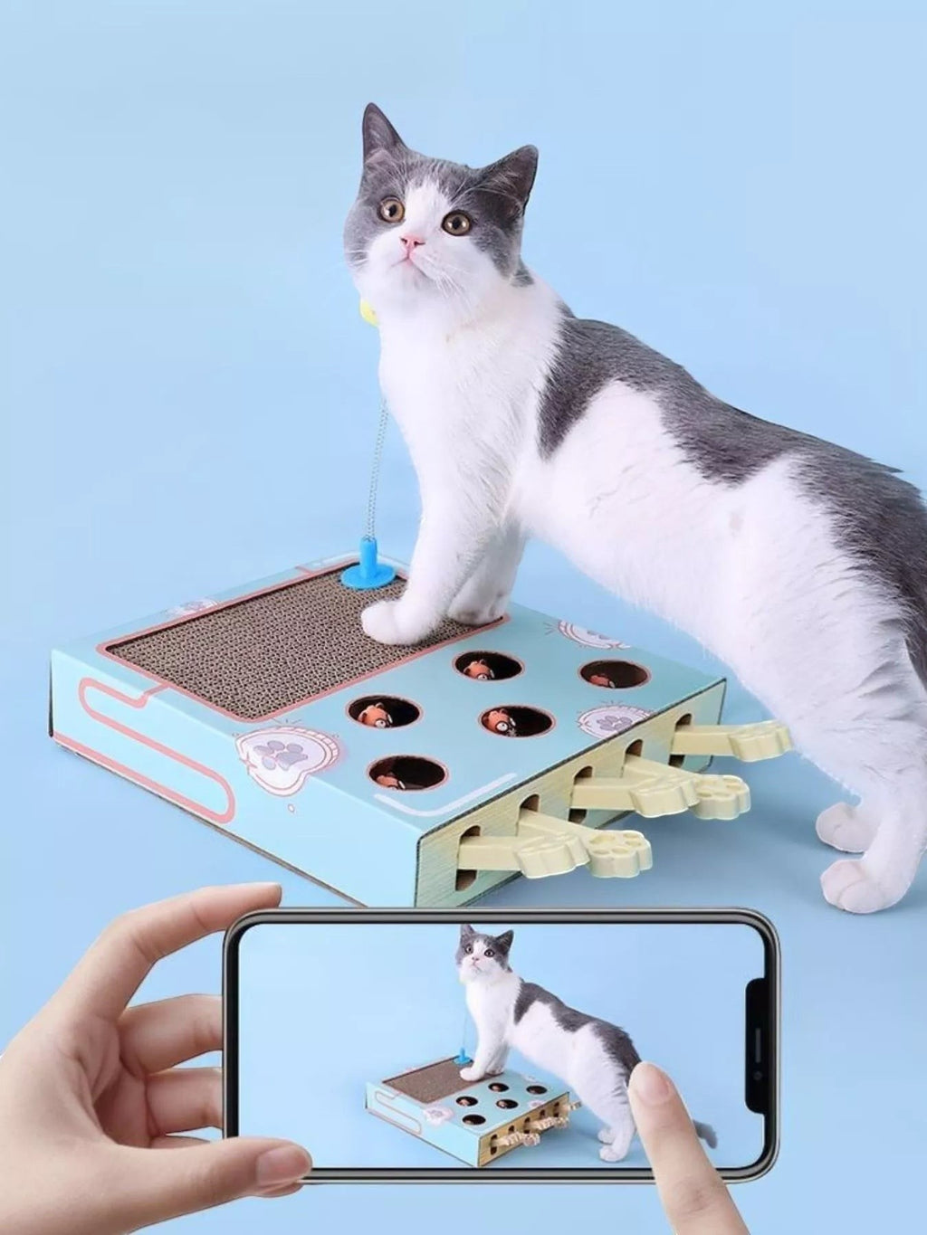 Little Pets Club interactive cat scratching box with hidden balls and paw levers, featuring a grey and white cat playing.
