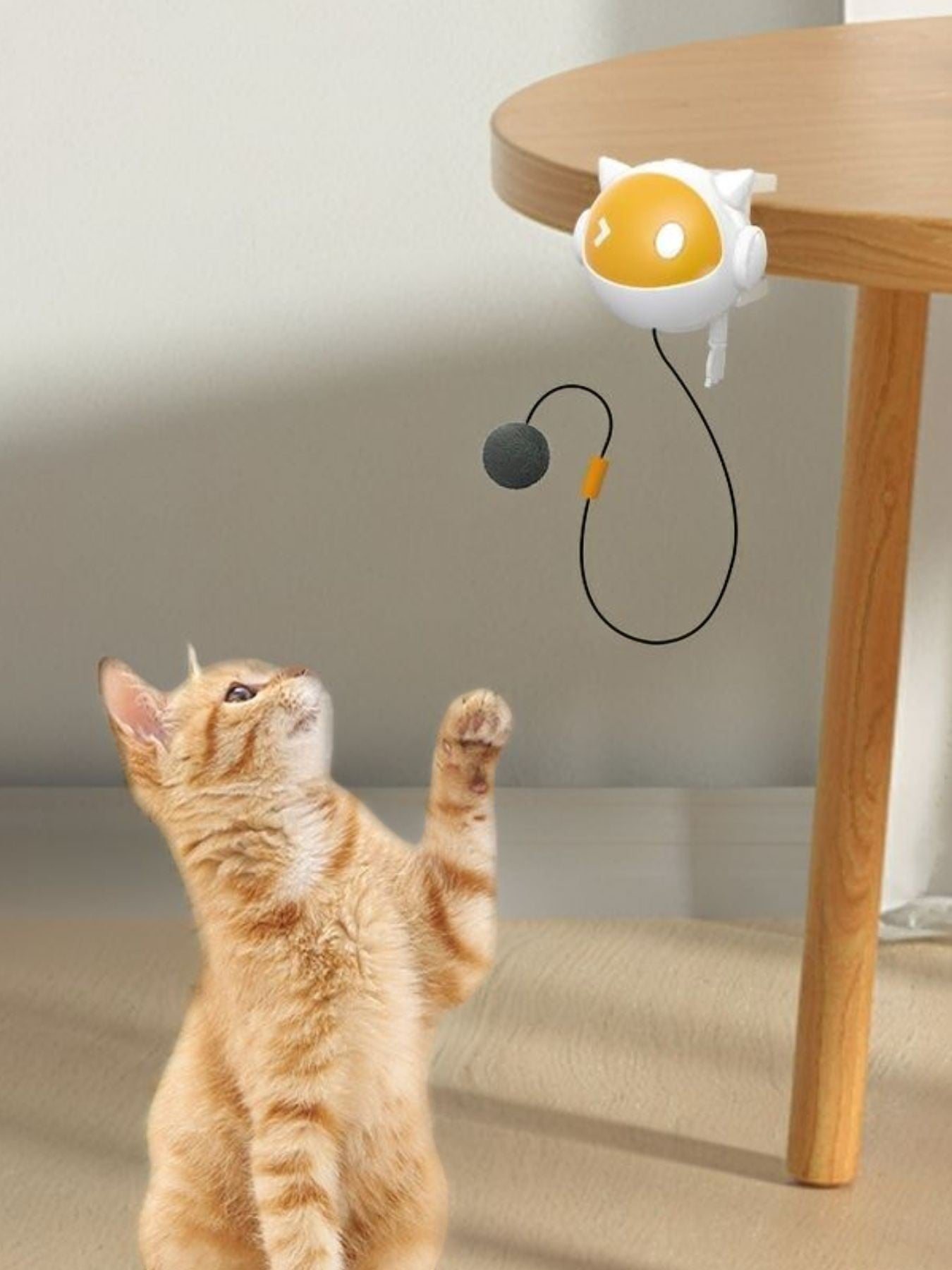 Little Pets Club interactive cat teaser toy with a grey ball hangs from a table, engaging a playful tabby kitten.