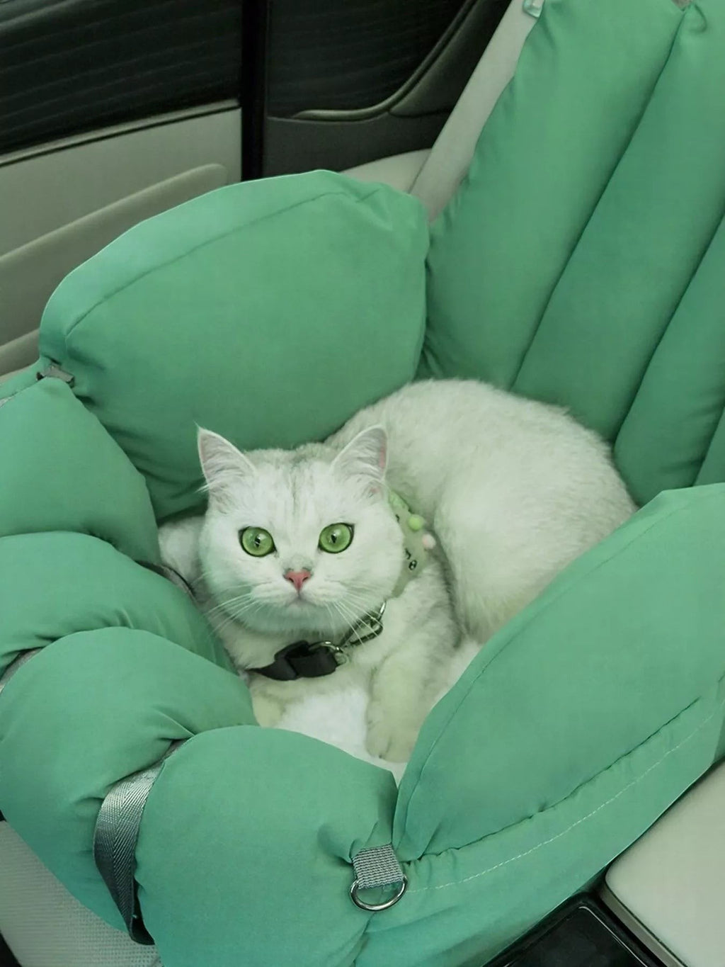 Little Pets Club mint green convertible pet carrier with a white cat with green eyes inside, functioning as a car seat.