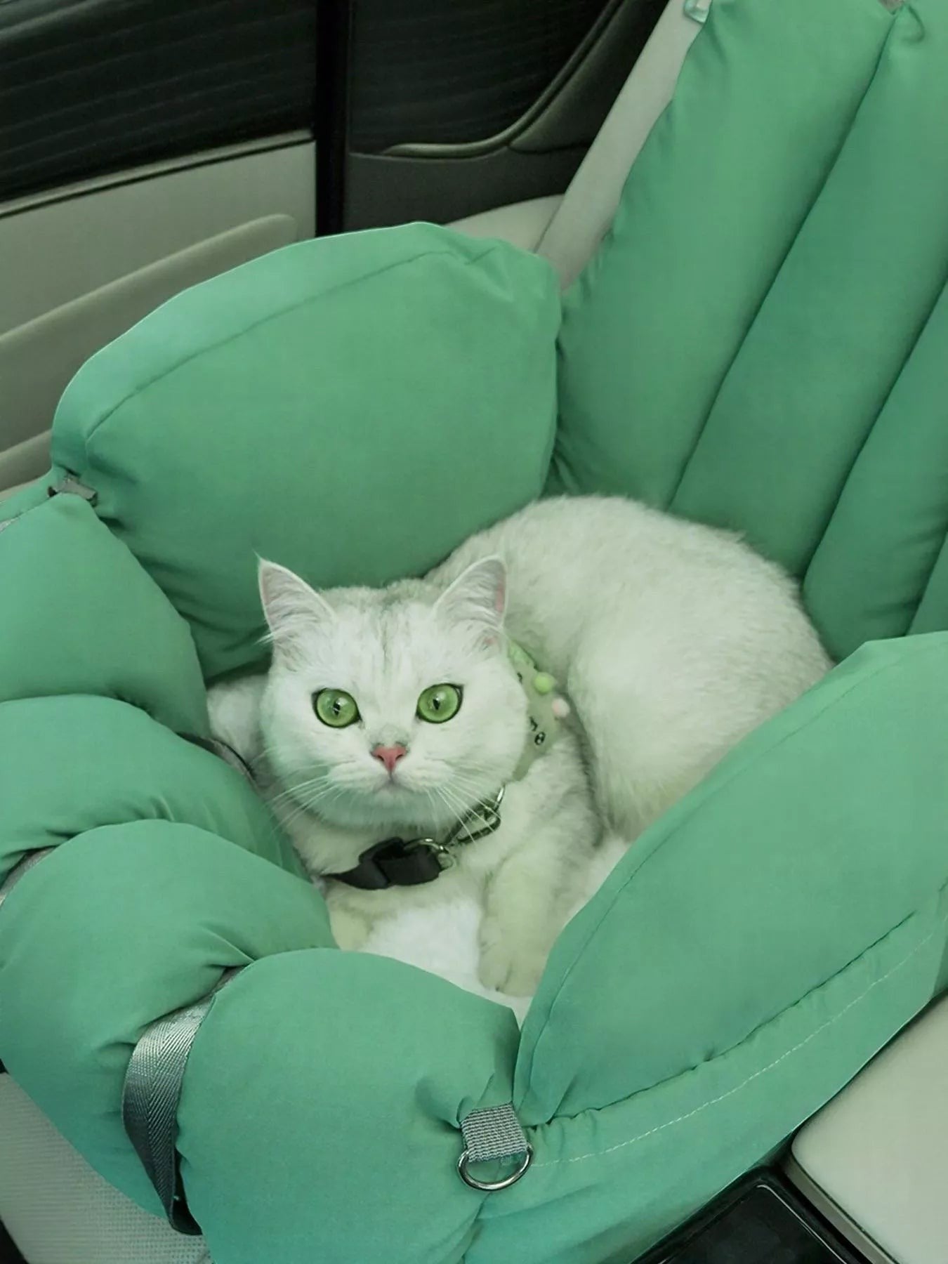 Little Pets Club mint green convertible pet carrier with a white cat with green eyes inside, functioning as a car seat.