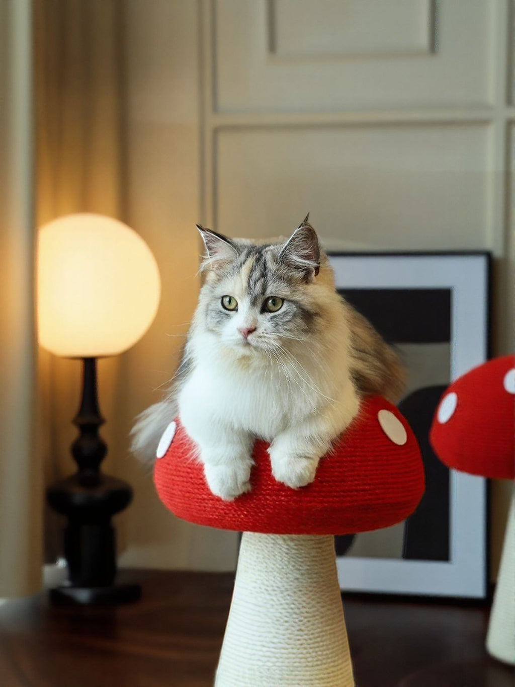 Little Pets Club Enchanted Mushroom cat scratching post with red cap and natural fiber stem, featuring a fluffy cat sitting on top.