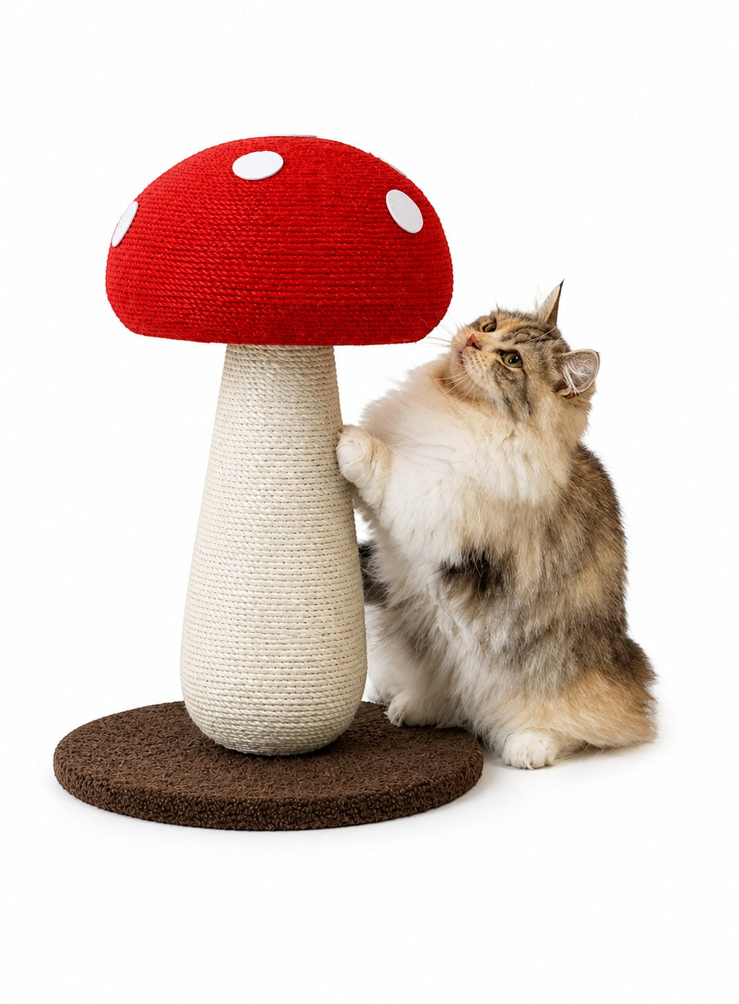 Little Pets Club Enchanted Mushroom cat scratching post with red cap and white spots, natural fiber stem, and brown base. A fluffy cat is scratching the post.