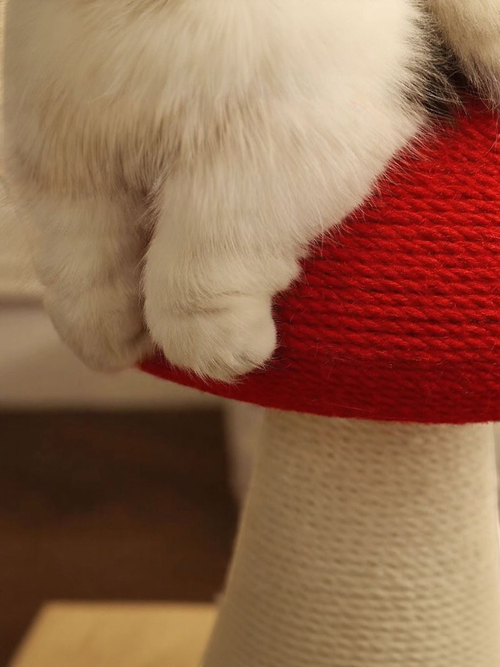 White cat paws resting on a red mushroom cap of a scratching post by little pets club. Natural fiber stem.