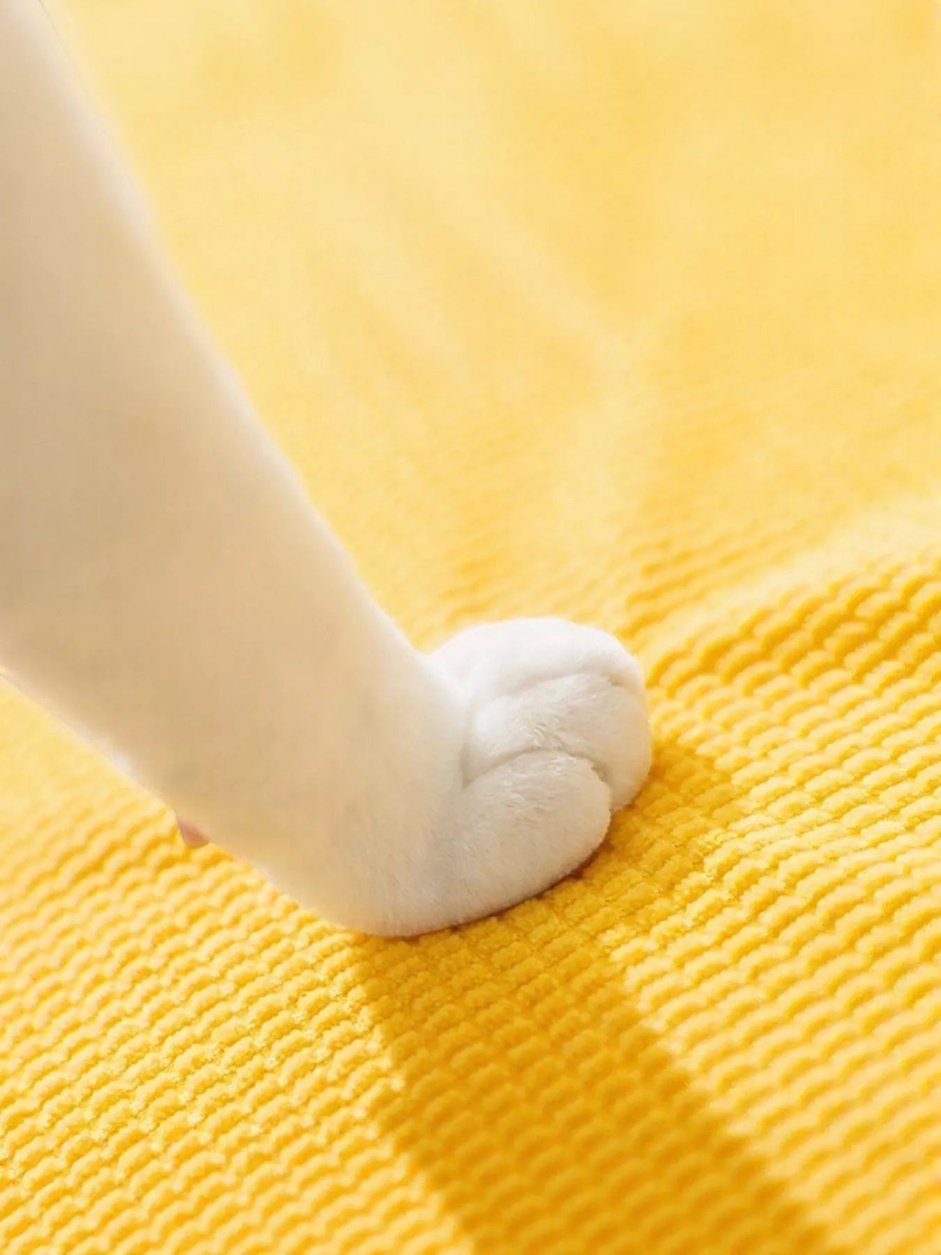 Little Pets Club white cat paw on yellow textured surface, soft and supportive pet steps.