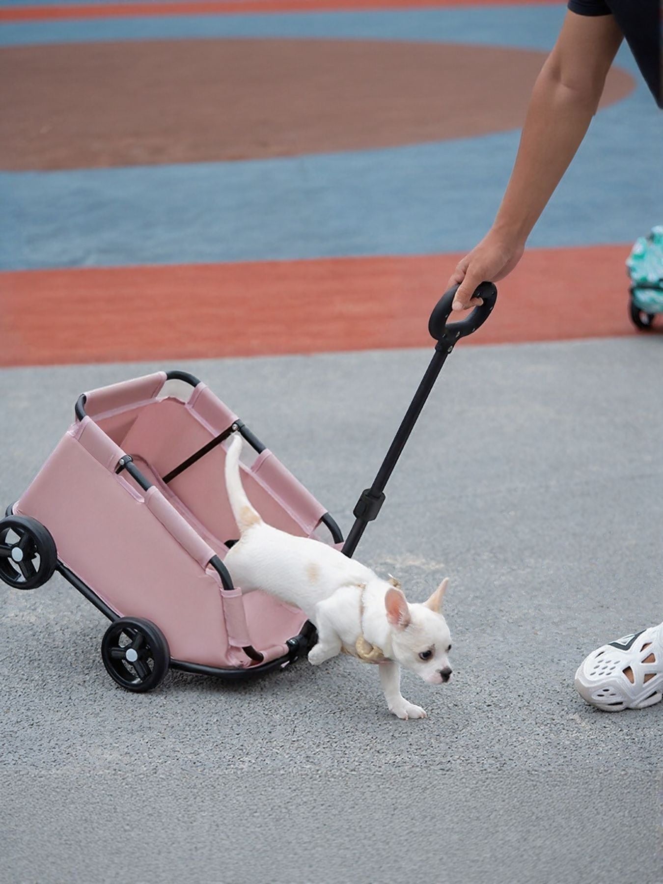 Little Pets Club pink portable pet stroller wagon with a chihuahua dog climbing out. Features a lightweight frame and smooth wheels.