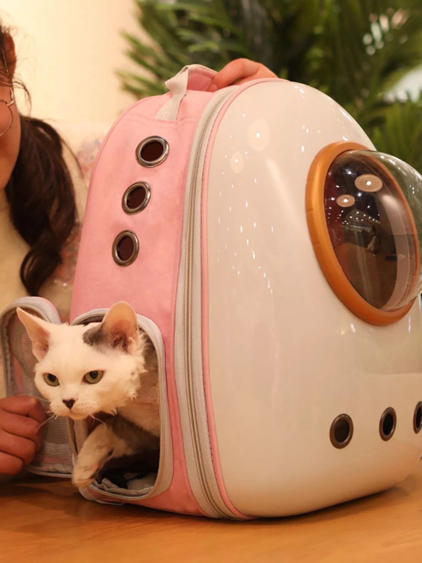 Little Pets Club pink and white space capsule transparent pet carrier backpack with a white cat peeking out.