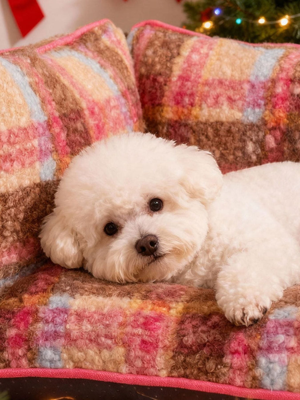 Little Pets Club cozy plaid dog sofa with a white bichon frise resting on it. Features raised sides and a plush, textured fabric.