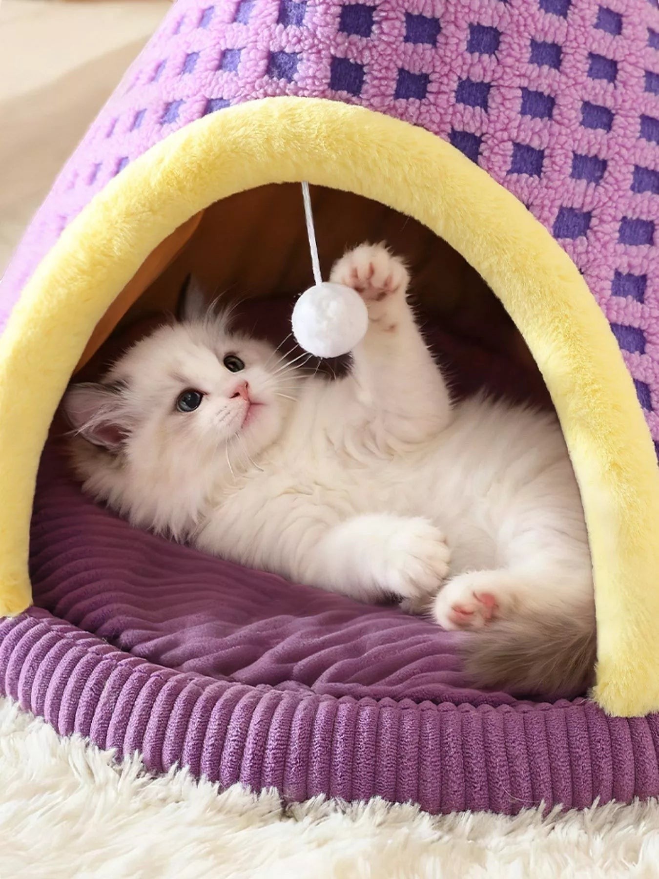 Little Pets Club purple plush cat tent bed with yellow trim, featuring a white kitten playing with a dangling toy.