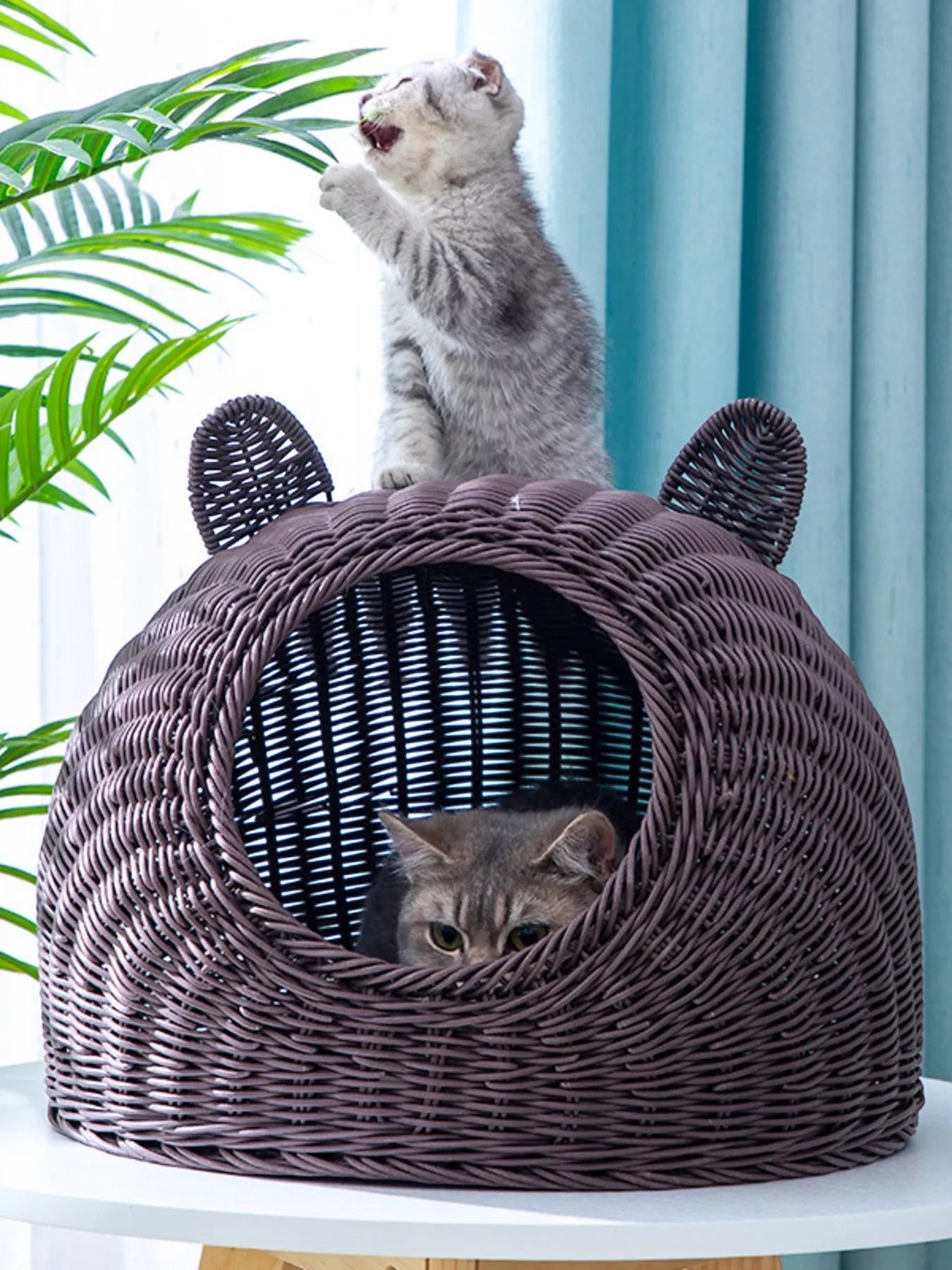 Little Pets Club brown rattan-style woven cat bed with ear details, featuring a grey cat peeking out and another cat playing on top.