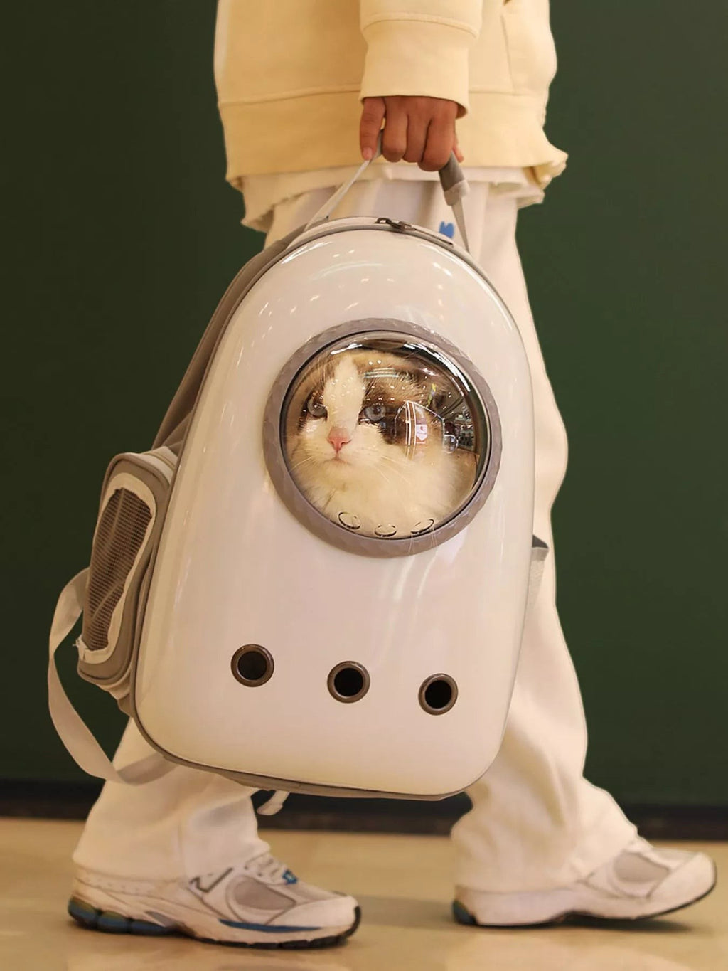 Little Pets Club white space capsule pet carrier backpack with a fluffy cat inside, featuring a transparent dome and ventilation holes.