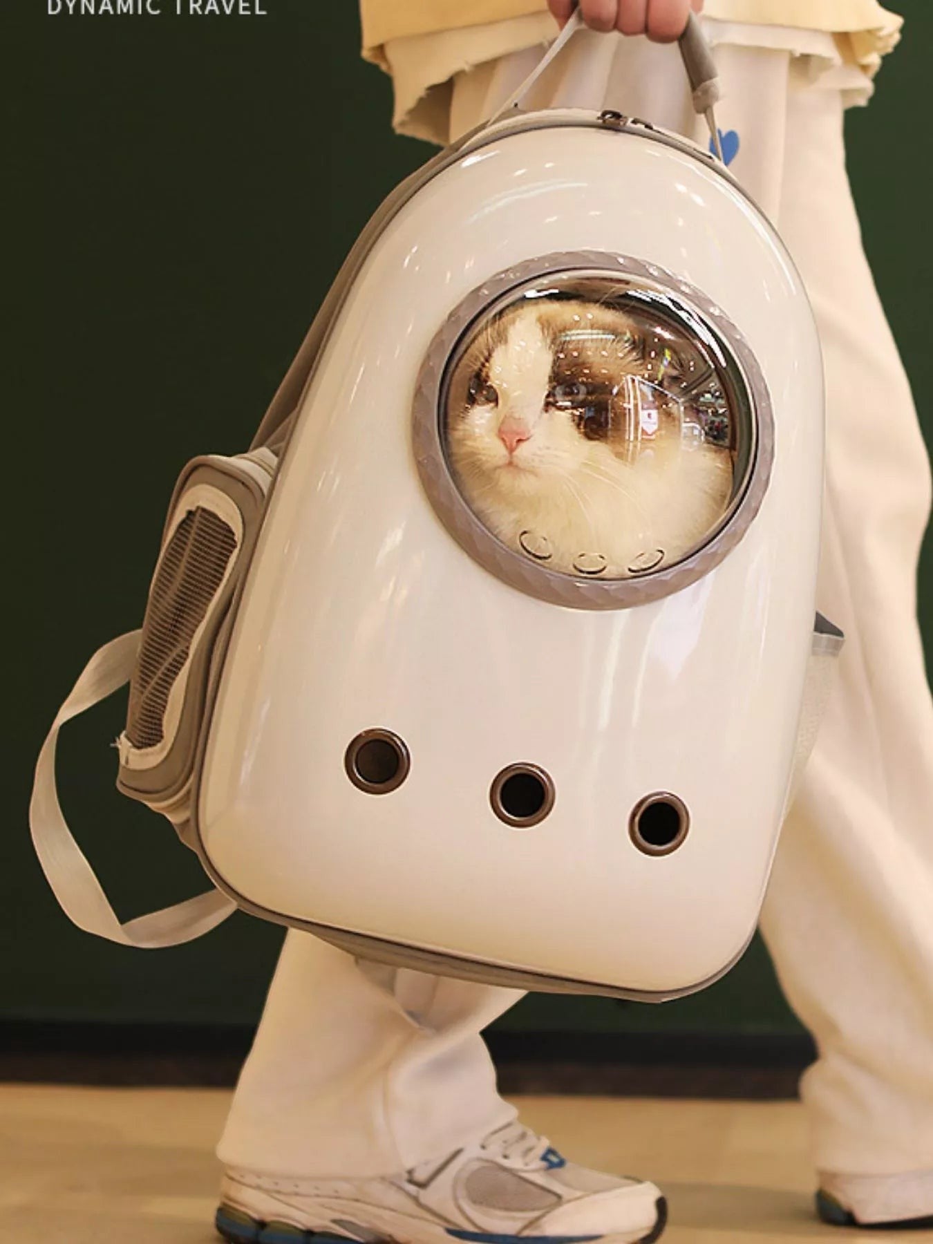 little pets club white space capsule pet carrier backpack with transparent dome and ventilation holes, carrying a fluffy cat.