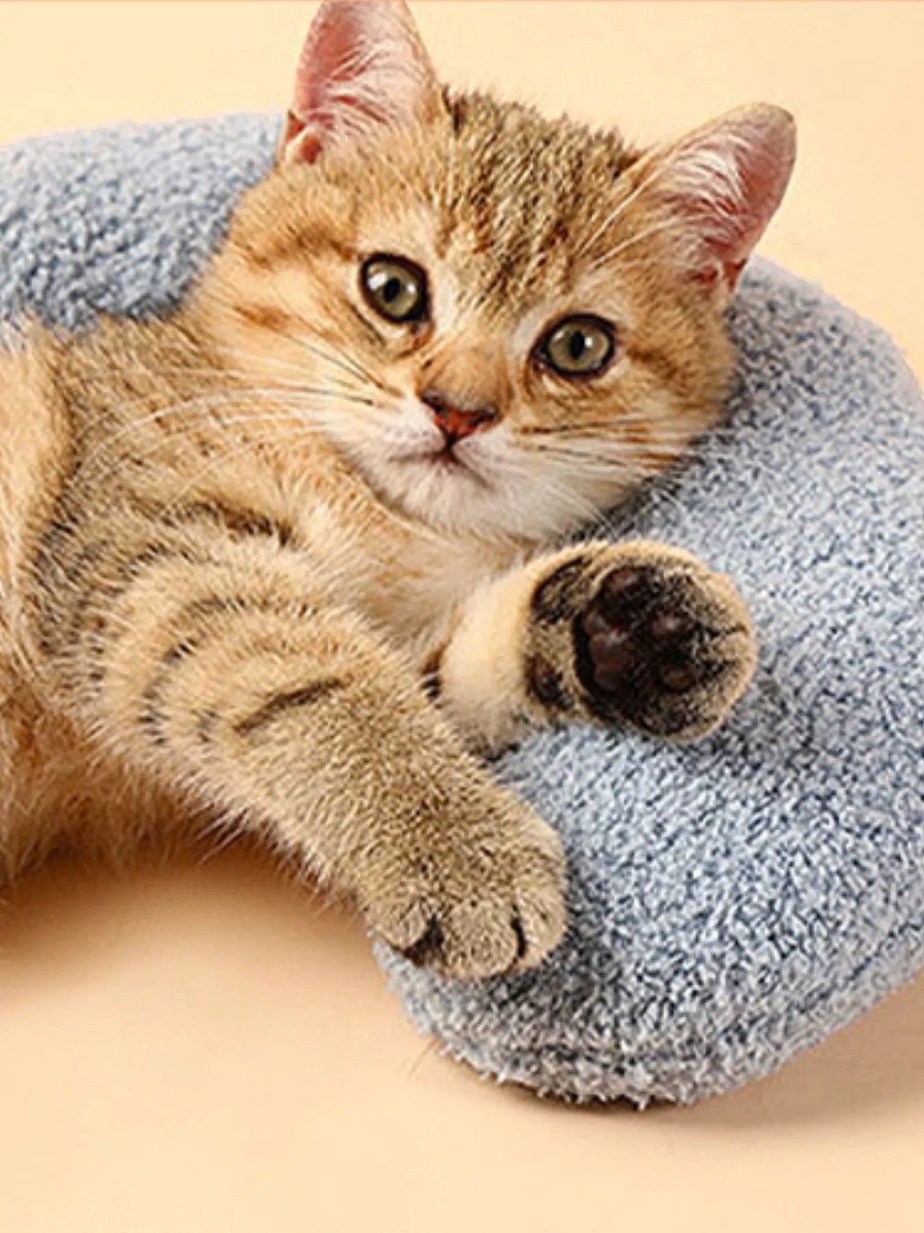 Little Pets Club light blue U-shaped plush pet nest with a tabby kitten resting on it.