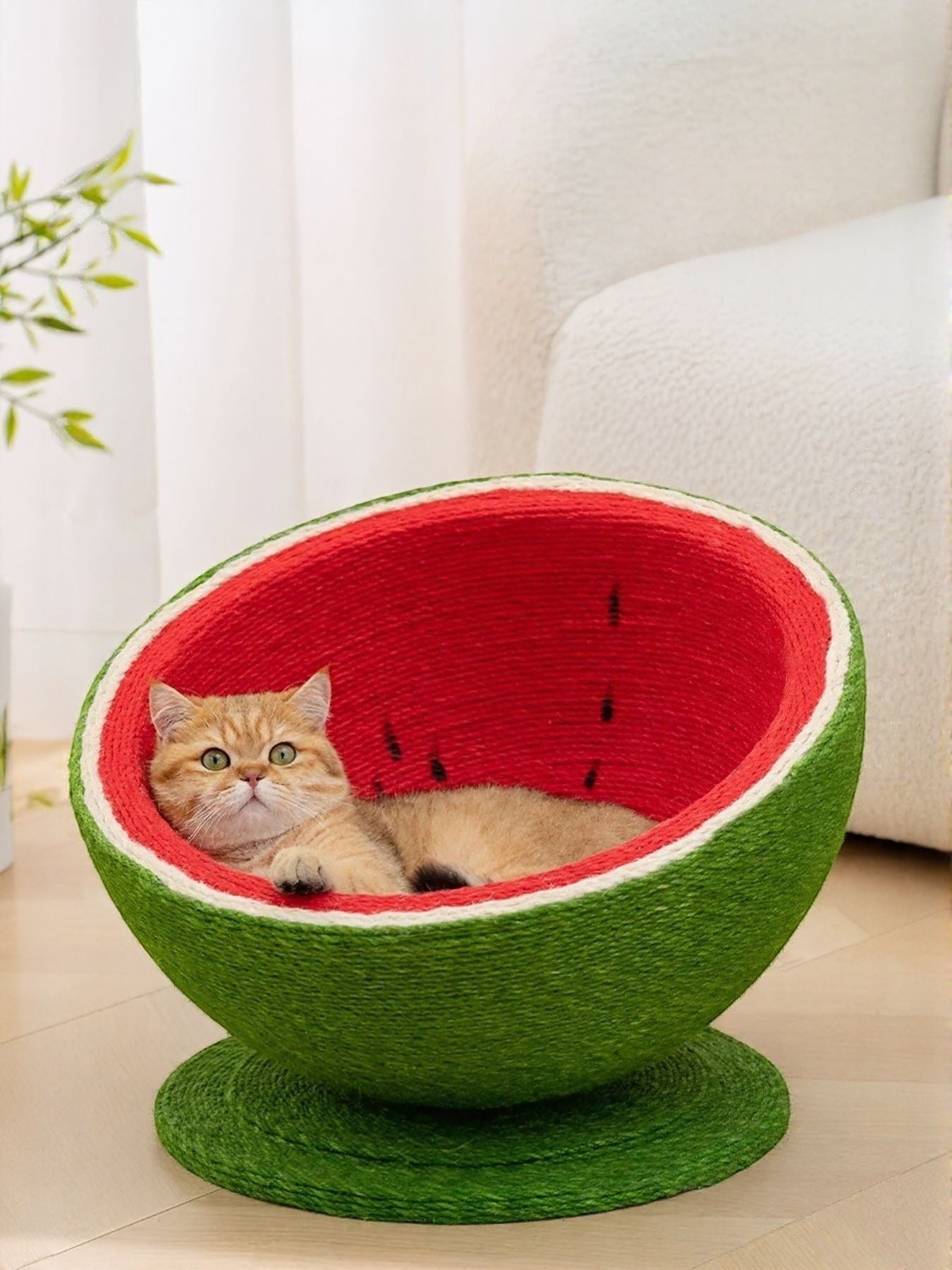little pets club Watermelon shaped cat scratching post nest, green exterior, red interior with black seeds, sisal material