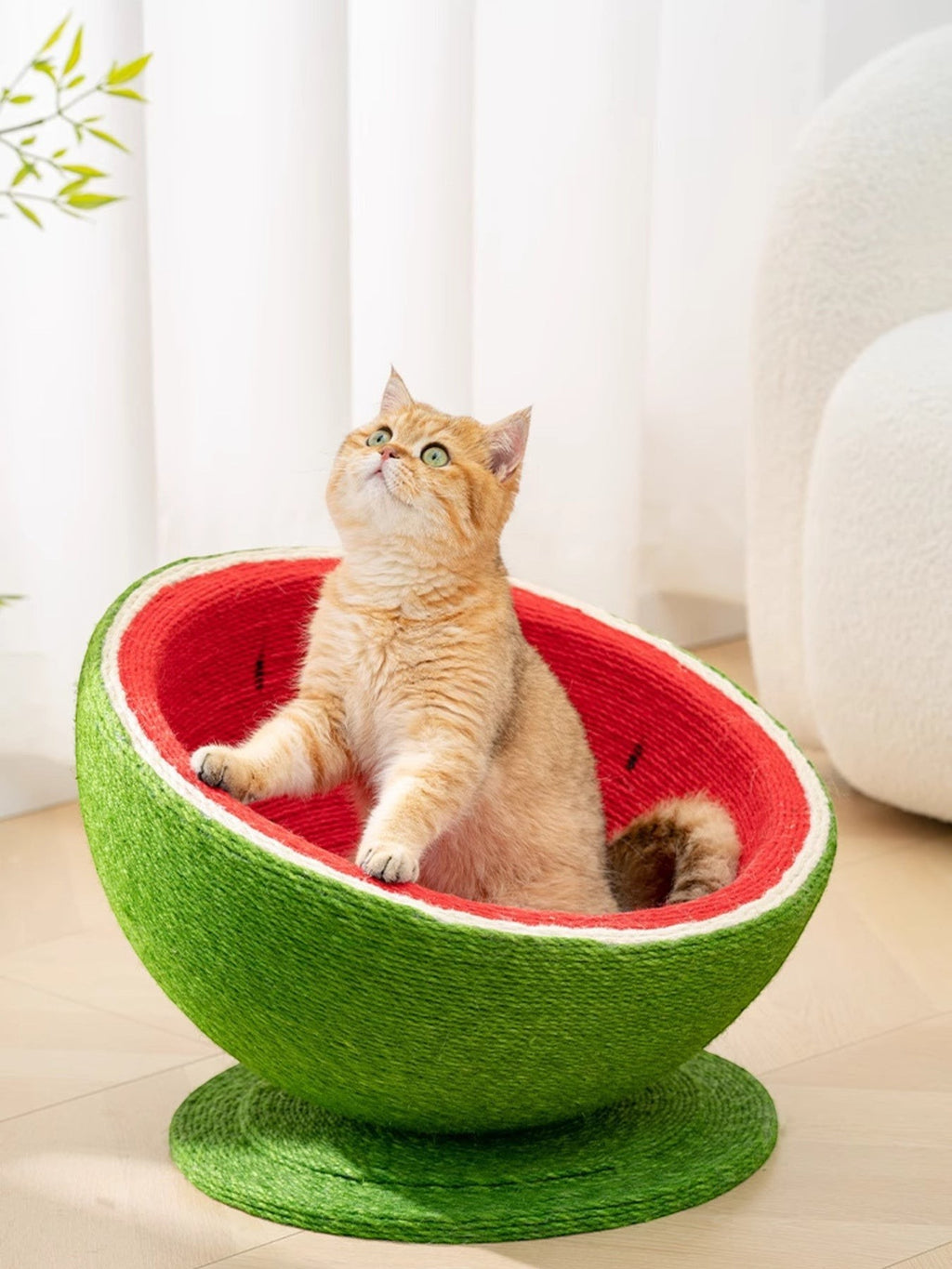 little pets club Watermelon shaped cat scratching post nest made of sisal, red interior, green exterior.