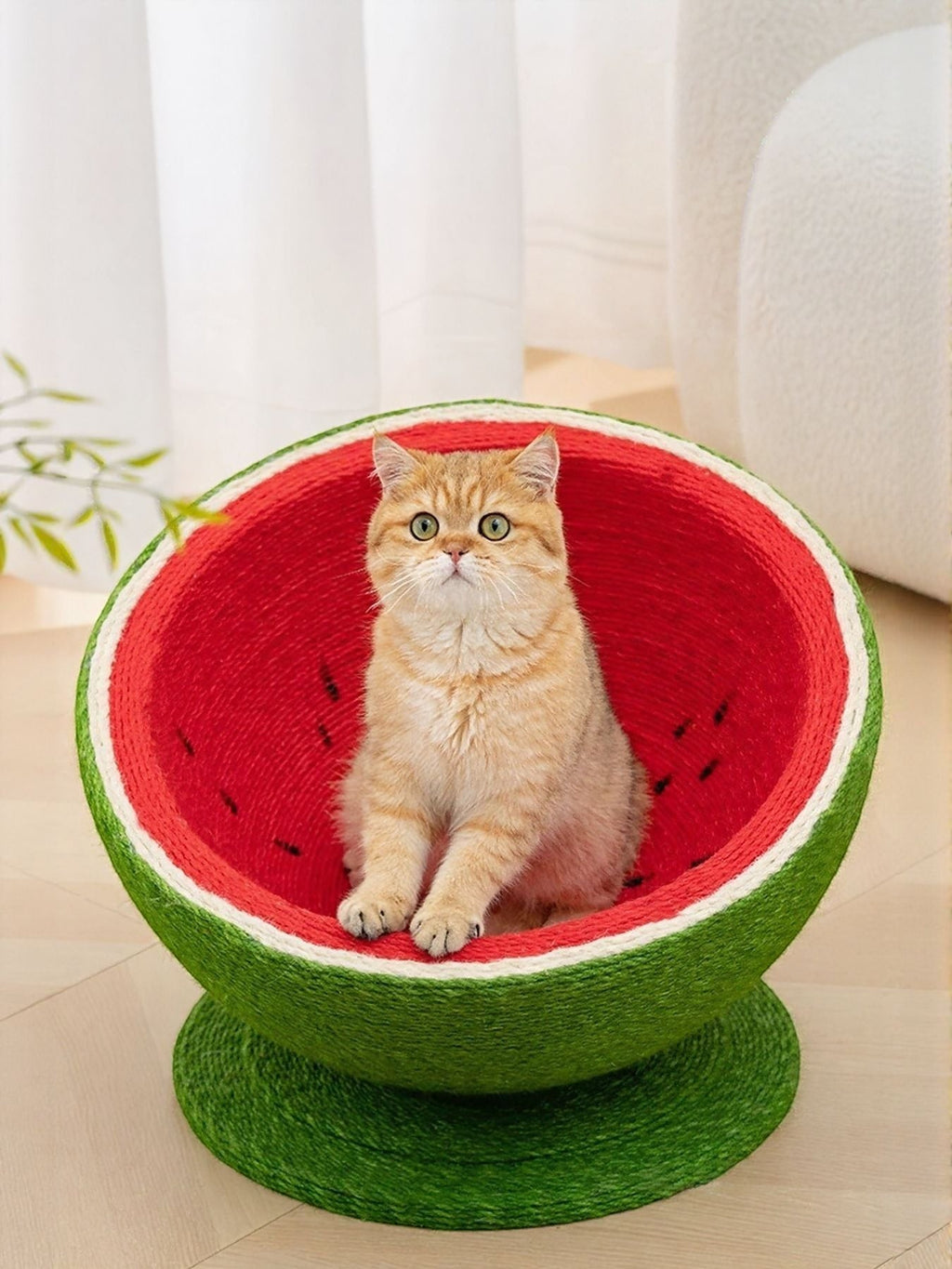 little pets club Watermelon shaped cat scratching post nest made of sisal rope, red interior with black seeds, green exterior.