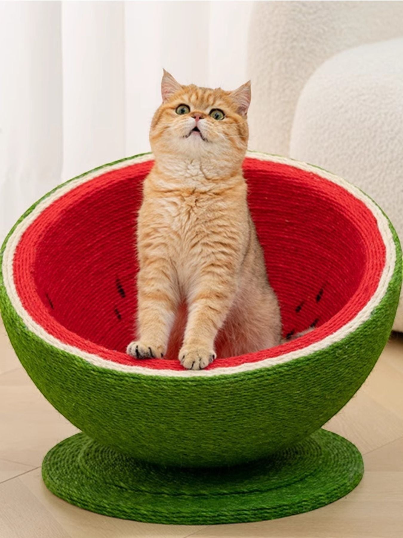 little pets club Watermelon shaped cat scratching post nest made of sisal rope, red interior with black seeds, green exterior.