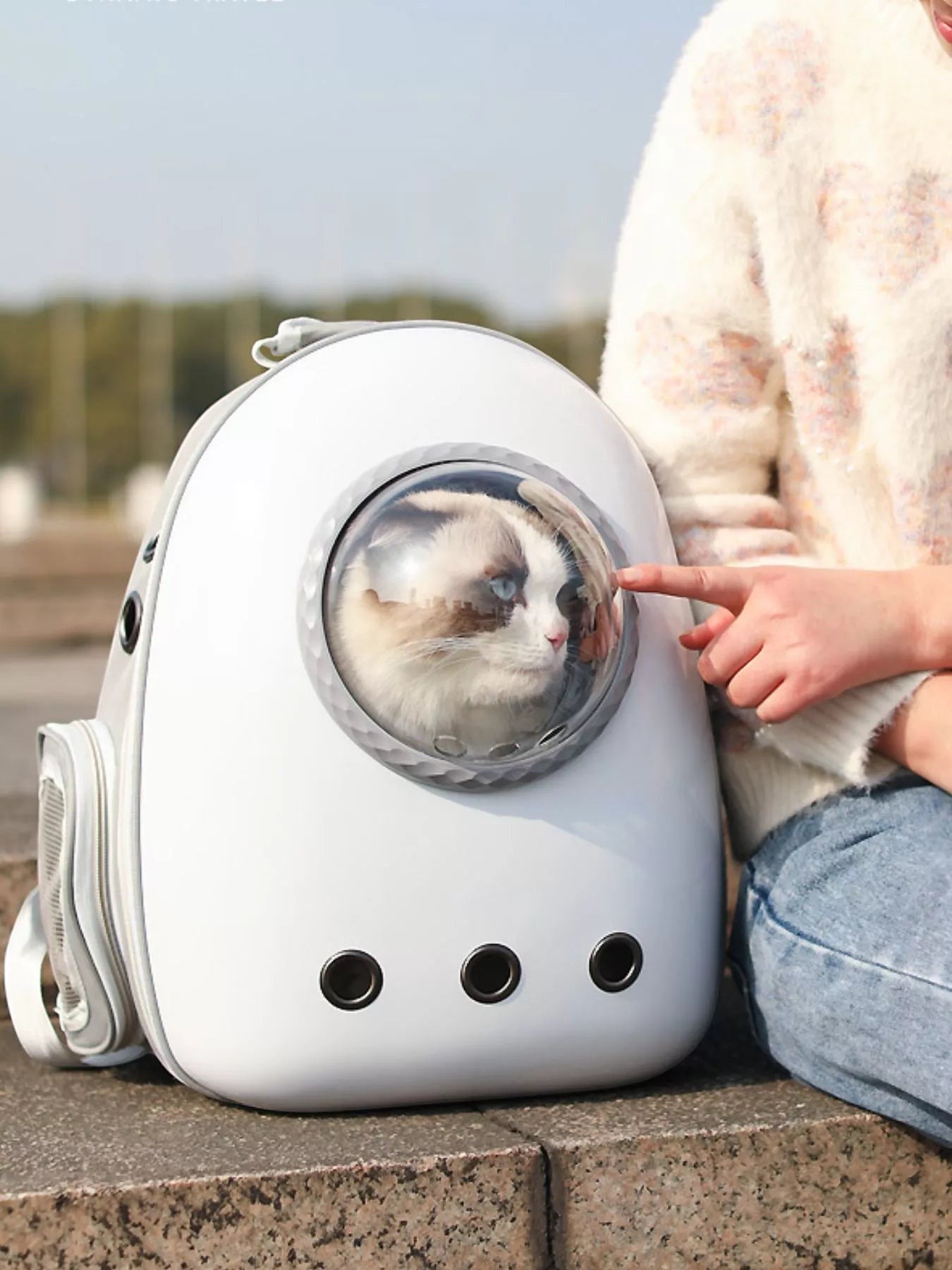 Little Pets Club white space capsule pet carrier backpack with transparent dome, featuring a fluffy cat inside. Large size, 13x9.1x16.9 inches.