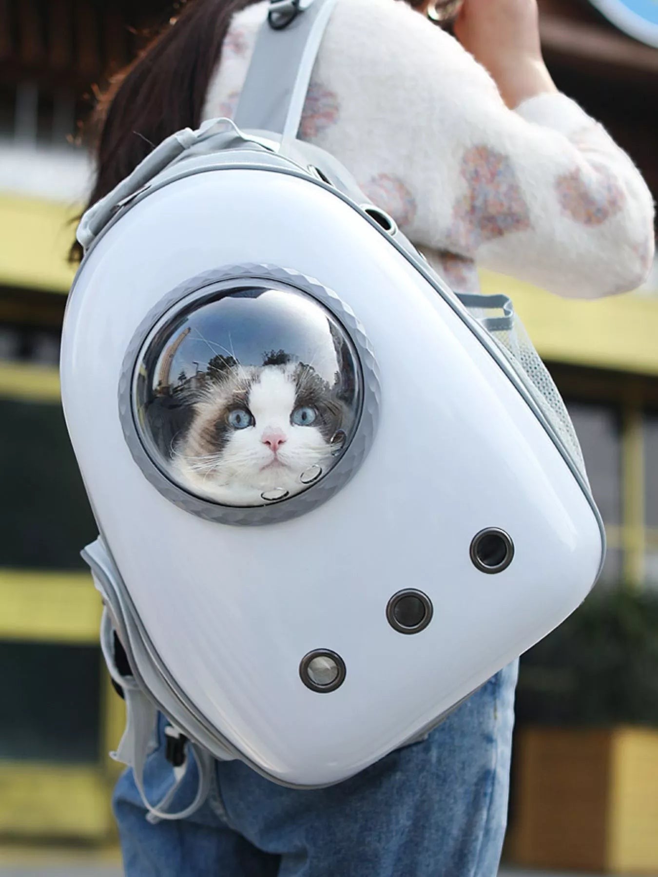Little Pets Club white space capsule pet carrier backpack with a fluffy cat looking out the transparent dome window.