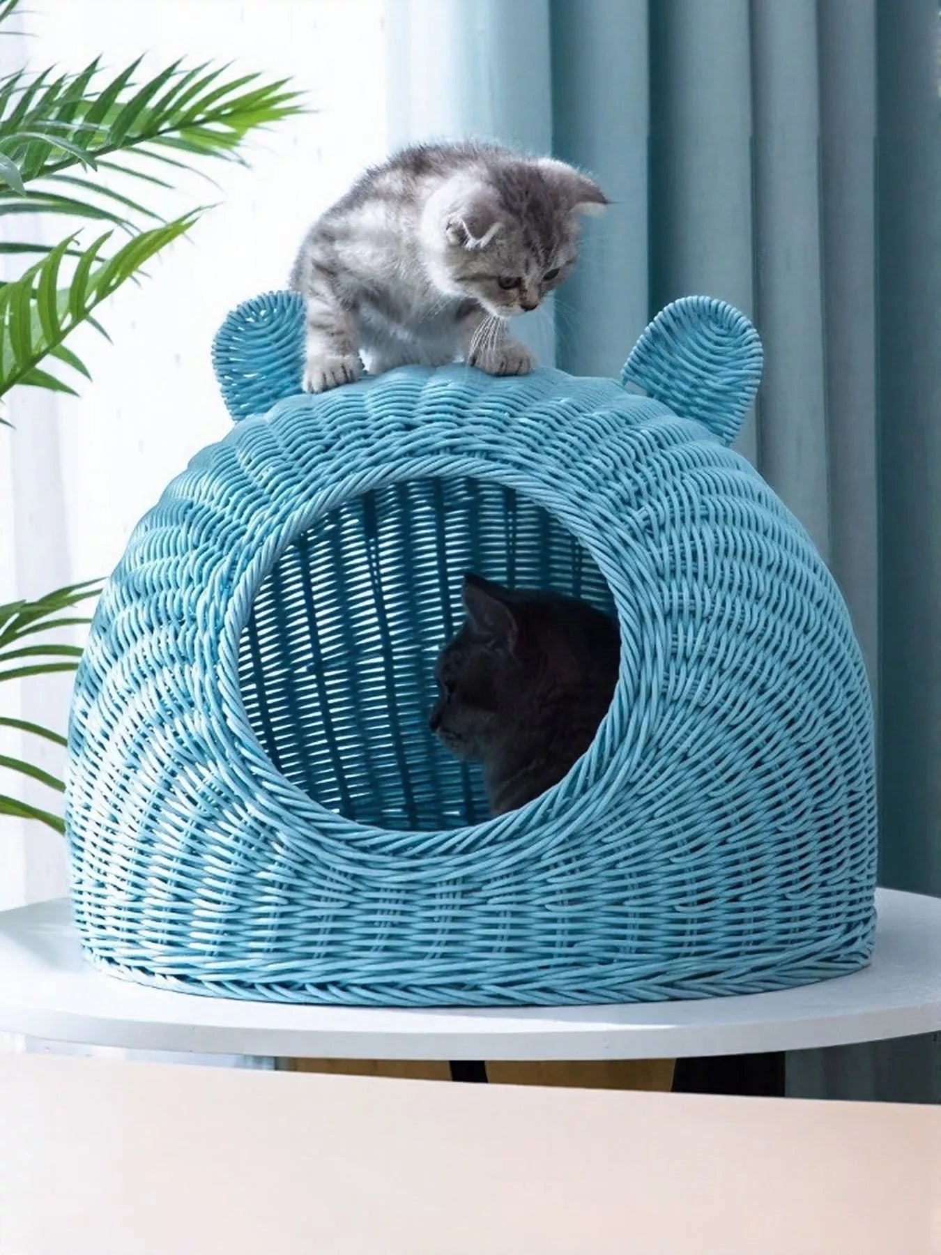 Little Pets Club blue rattan-style woven cat nest bed with ear details, featuring a grey tabby kitten on top and a black cat inside.