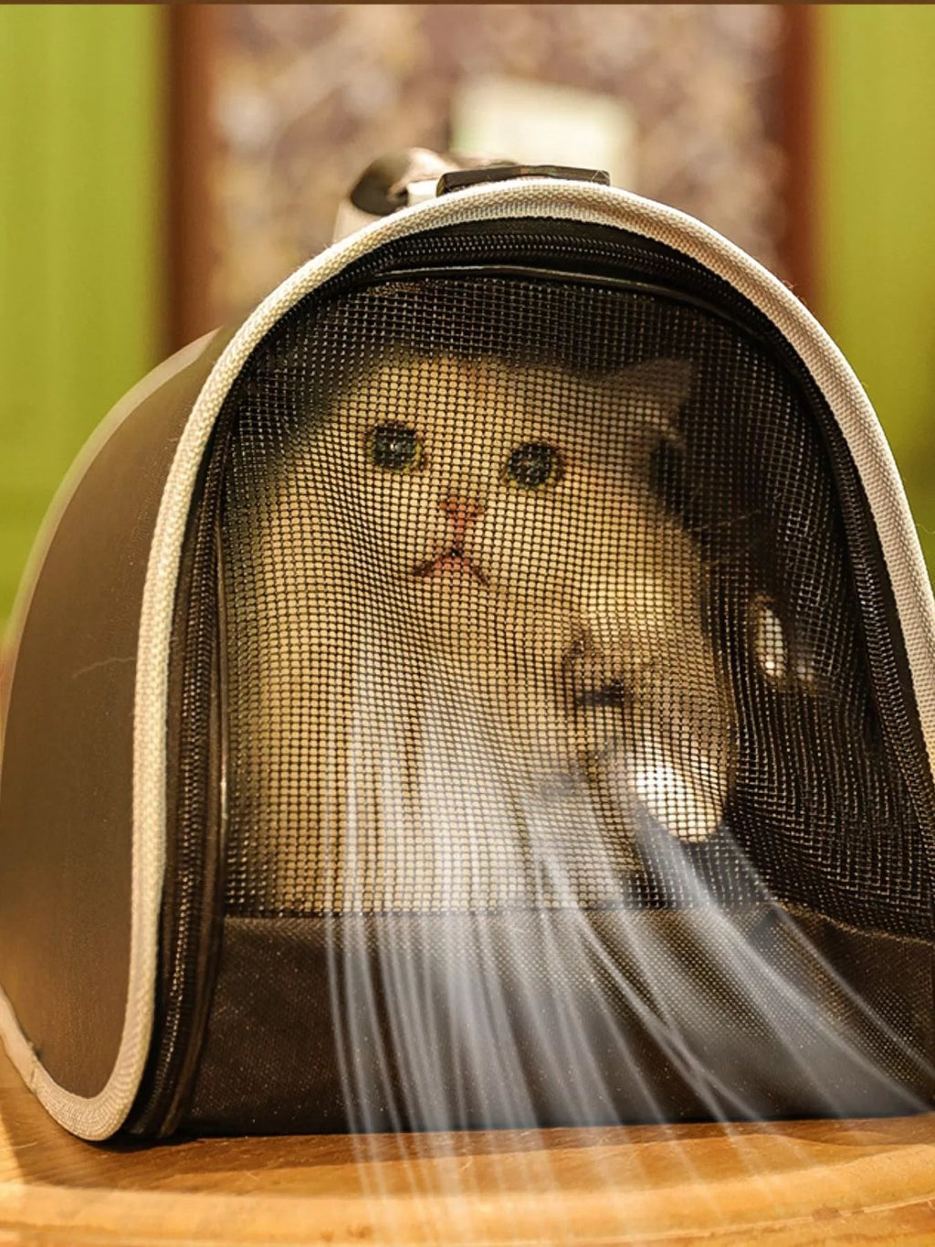 Little Pets Club brown pet carrier with mesh front and a white cat peeking through.