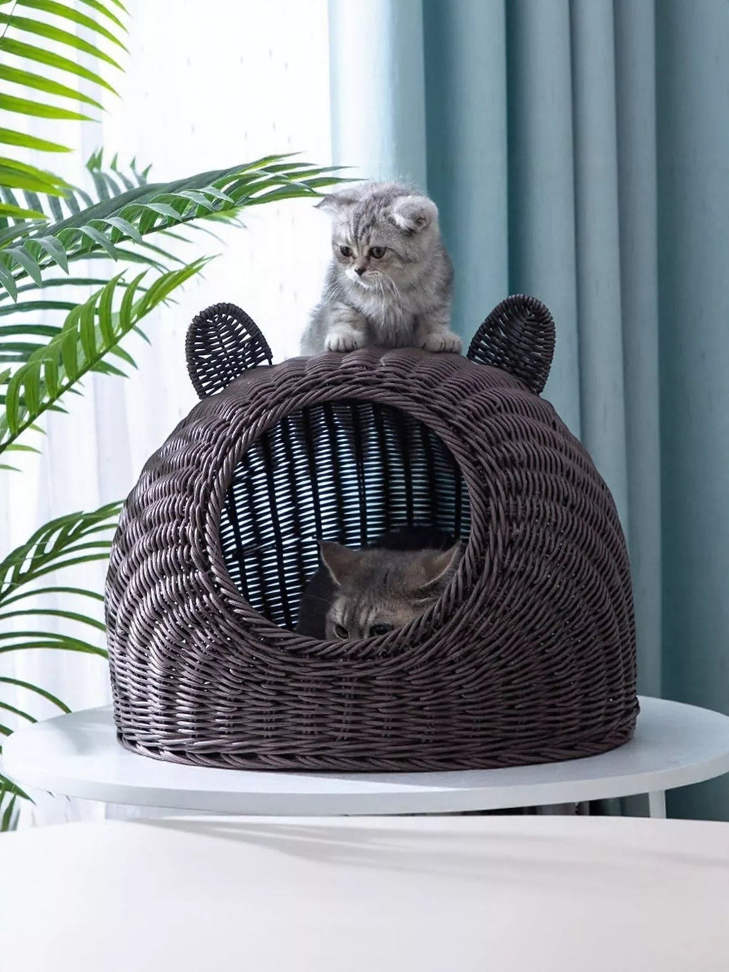 Little Pets Club brown rattan-style woven cat bed with bear ears, semi-enclosed design, perfect for cozy naps.